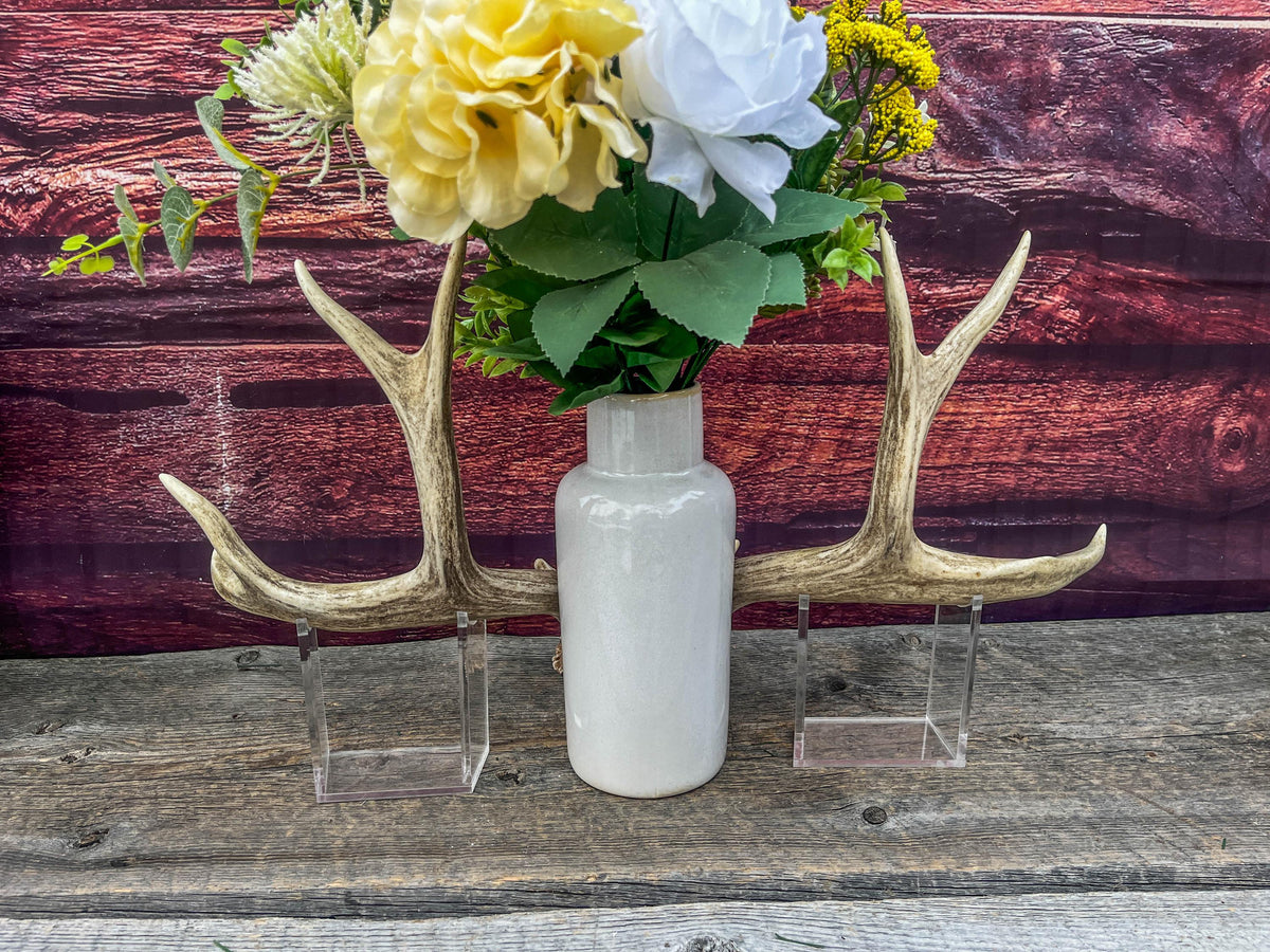 Classic Mule Deer Buck Antlers! For Decor, Crafting and More!