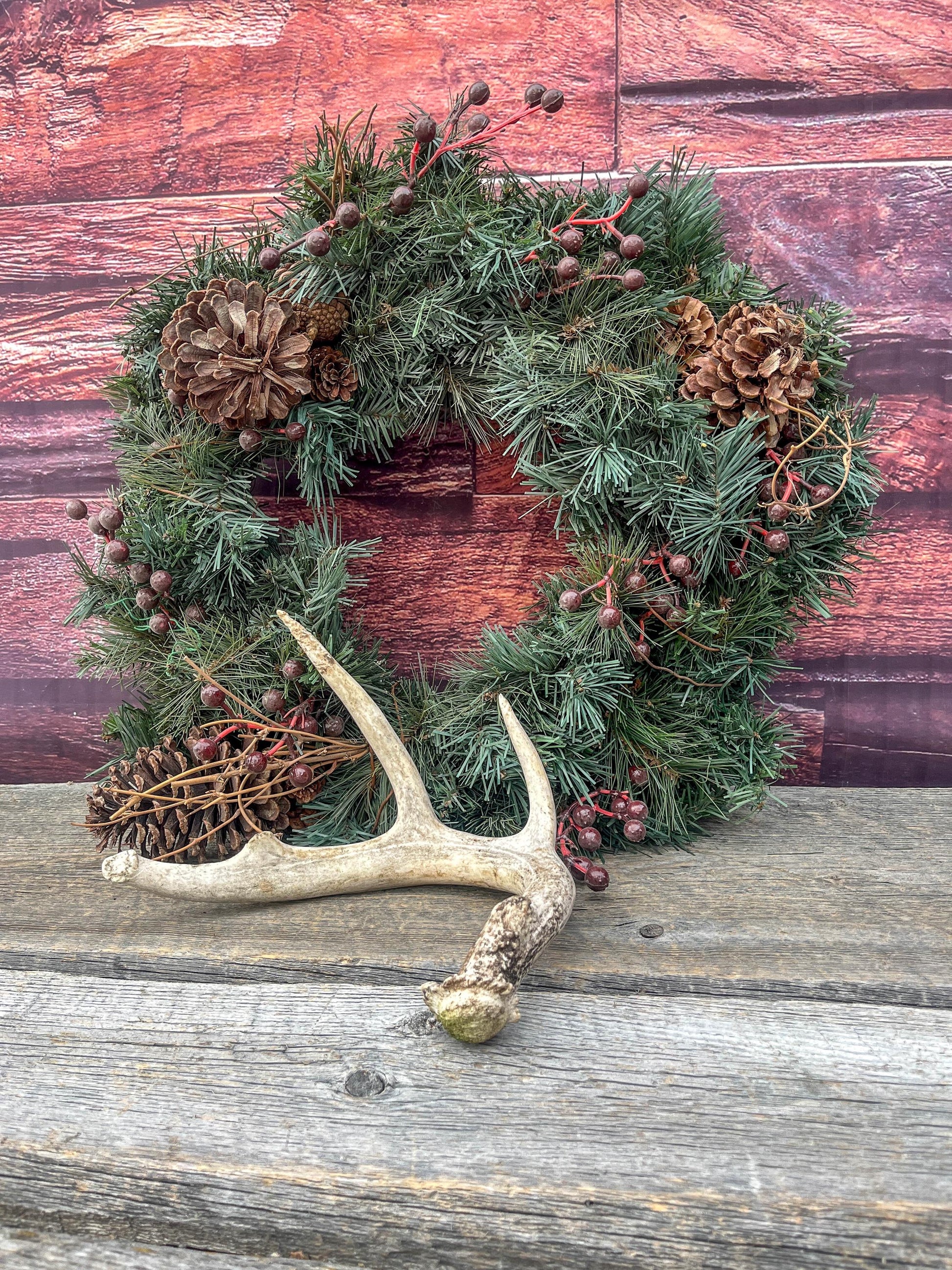 Medium White-tailed deer Antler - 4 Points Perfect for crafting, design, decor and more!