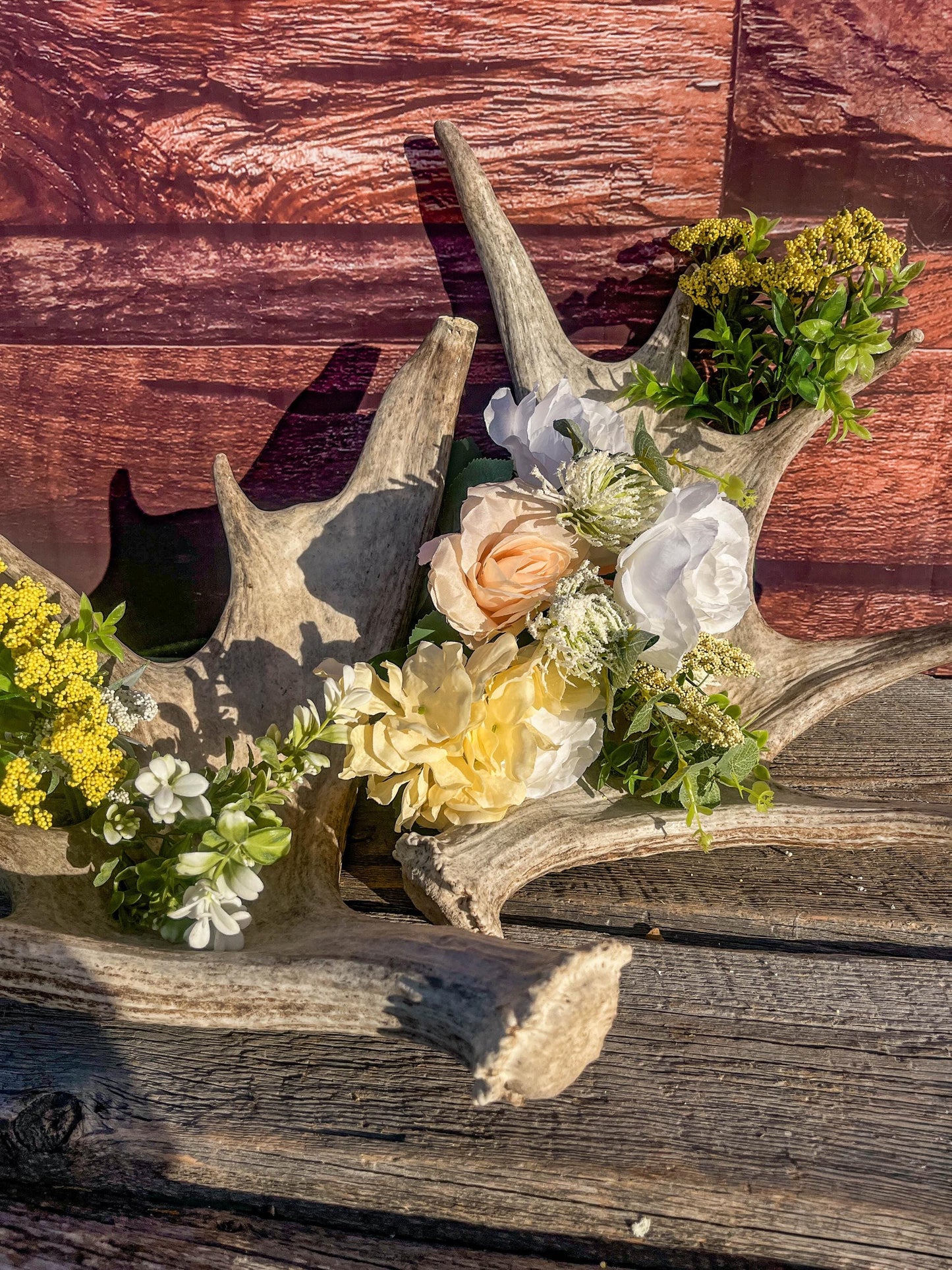 Med-sized Moose Antler Pair. Crafting, Decor and Much More