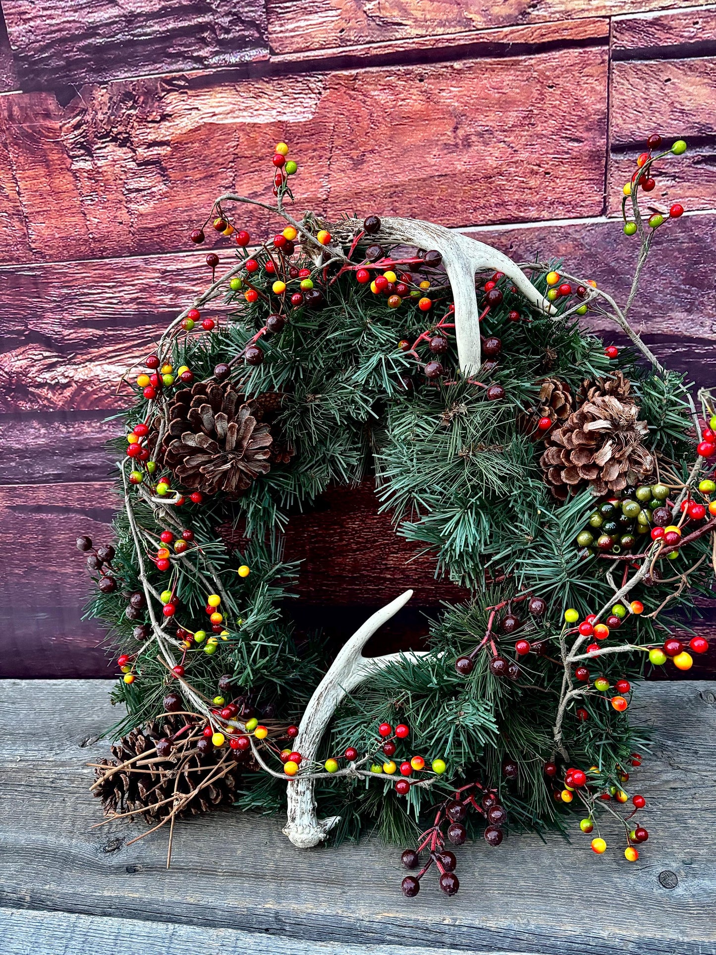 Mule Deer Antlers - Matched Forks! Naturally Shed - No harm antlers for Decor, Crafting, Pets and More