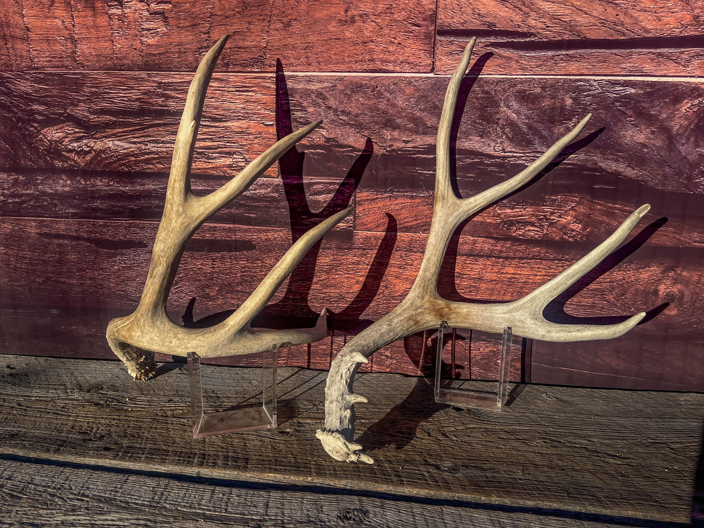 Mule Deer Antlers. Matching Antler Set. Rustic & Farmhouse Decor, Interior Design, and more!