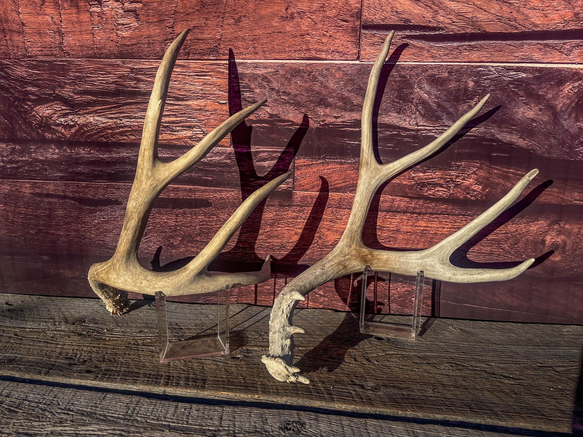 Mule Deer Antlers. Matching Antler Set. Rustic & Farmhouse Decor, Interior Design, and more!