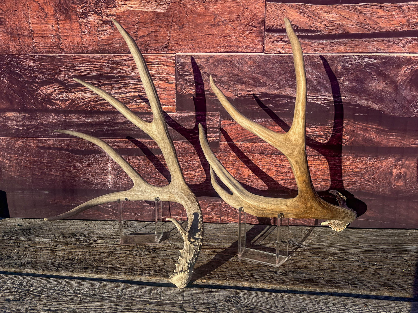 Mule Deer Antlers. Matching Antler Set. Rustic & Farmhouse Decor, Interior Design, and more!