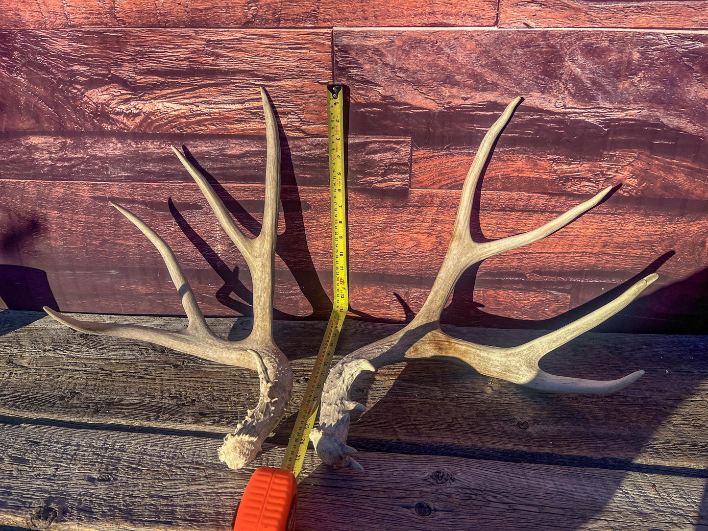 Mule Deer Antlers. Matching Antler Set. Rustic & Farmhouse Decor, Interior Design, and more!