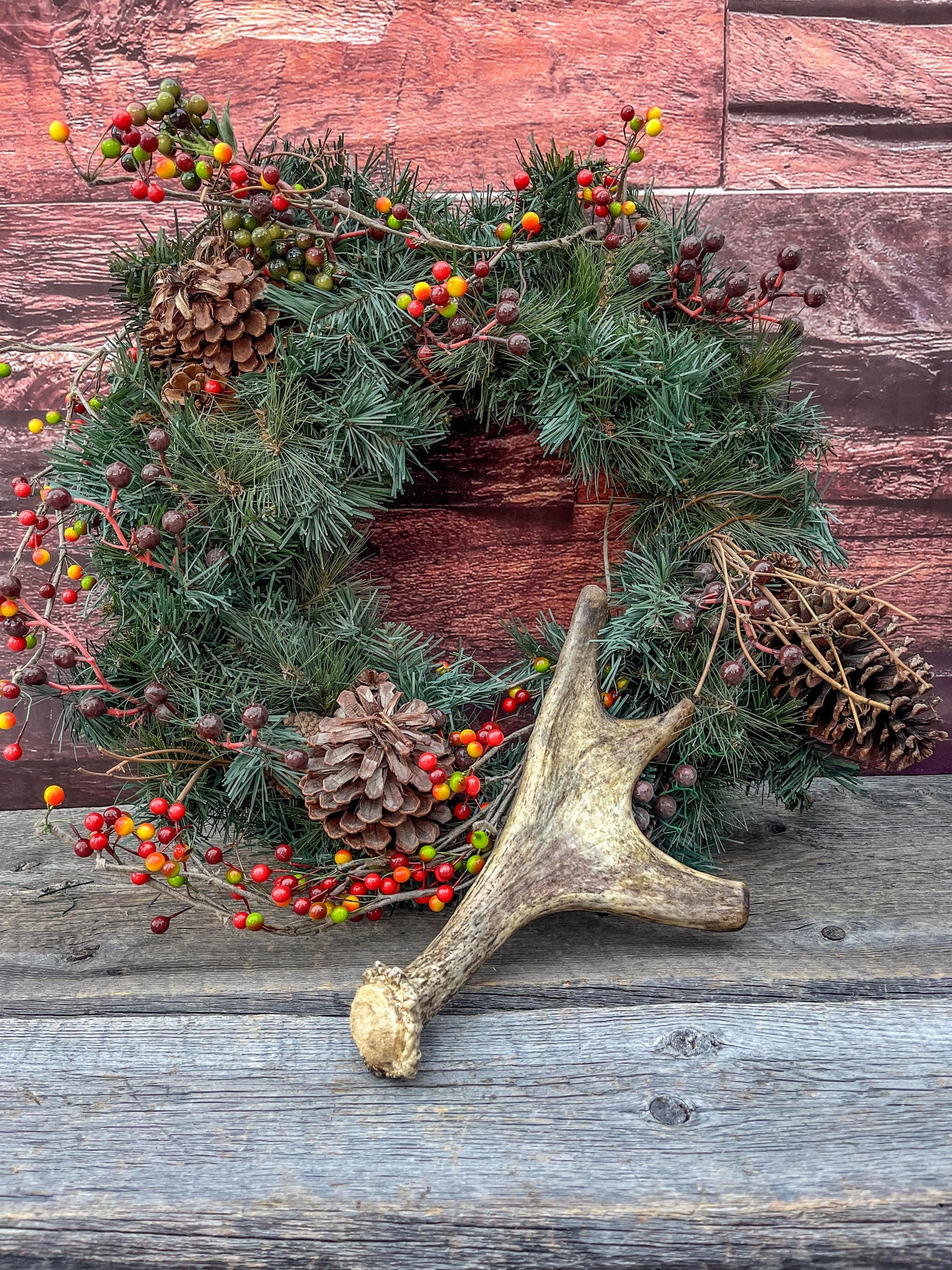 Moose Antler. Small Paddle for Carving, Pet Treats, Crafting and Decor from a Wild Canada Moose
