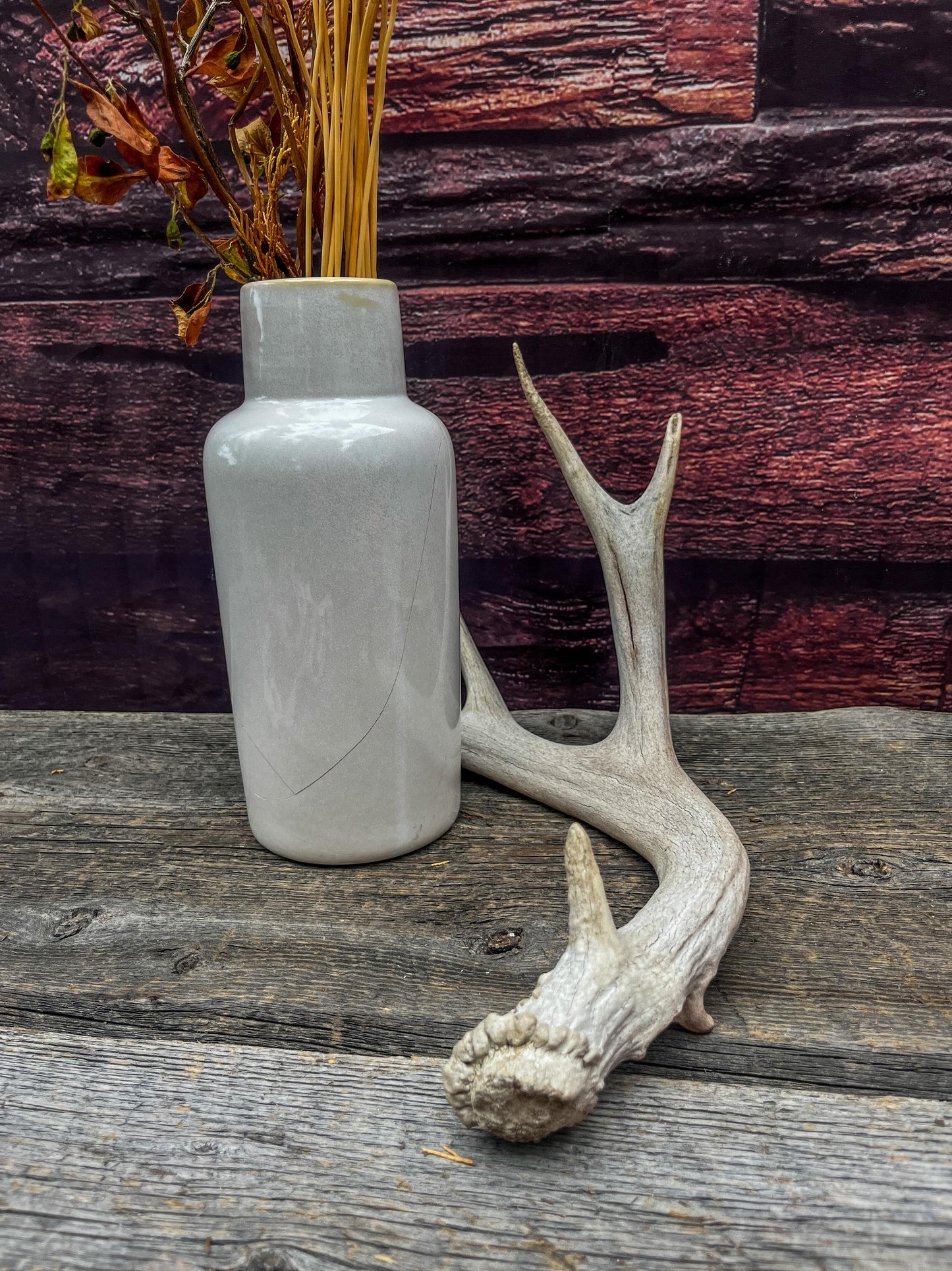 Deer antler - Mule deer. Elegant, Natural interior decor item. Crafting, Decor and Interior Design