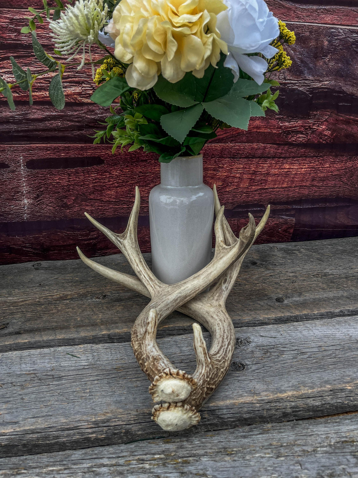 Classic Mule Deer Buck Antlers! For Decor, Crafting and More!