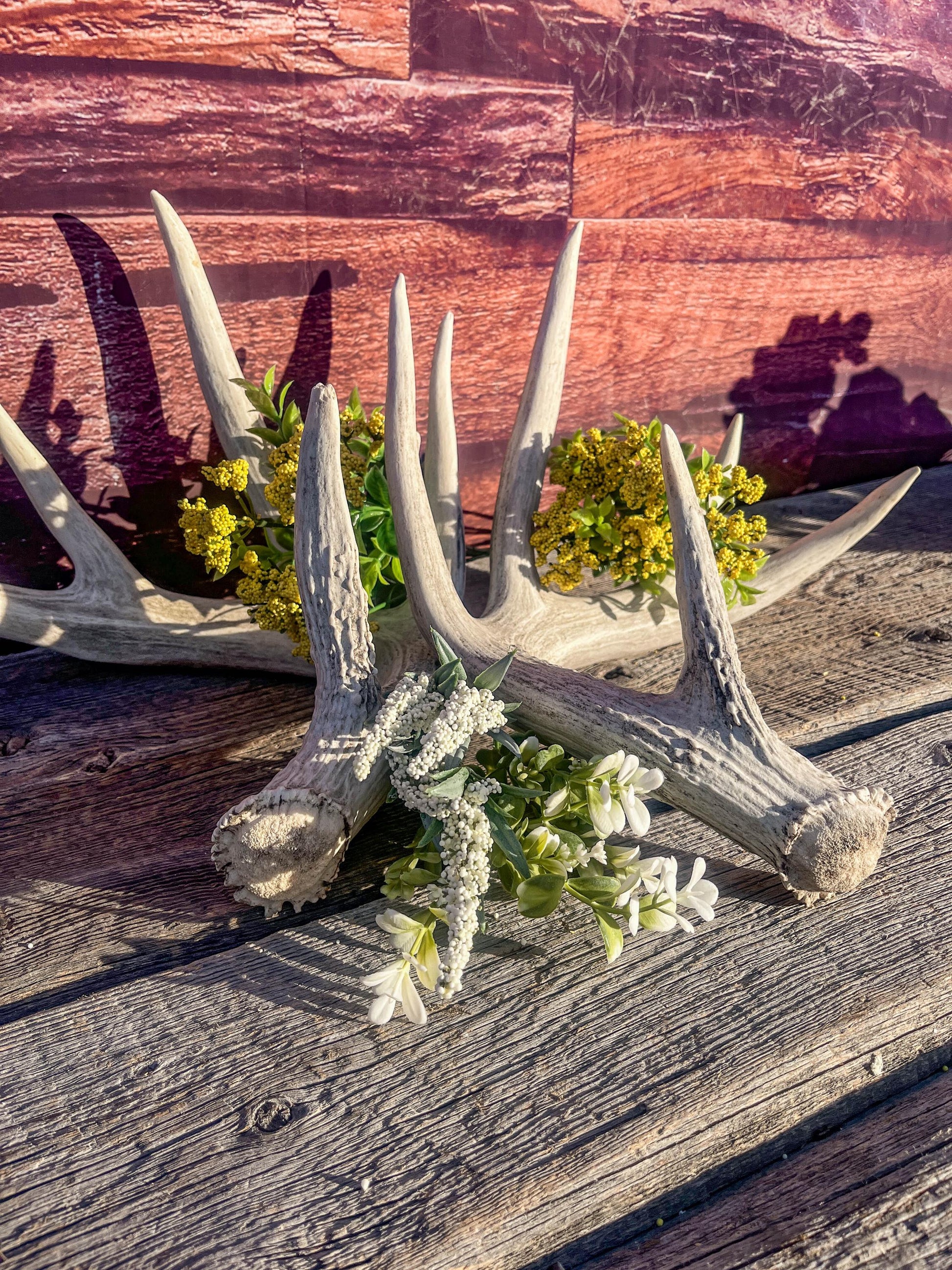White-tailed Deer Antlers - Large Matching Set. Decor, Crafting and More.