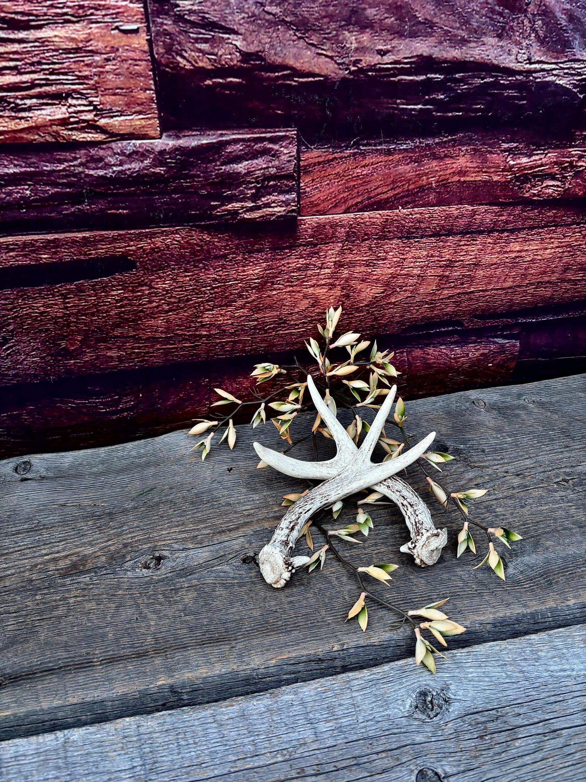 Mule Deer Antlers - Matched Forks! Naturally Shed - No harm antlers for Decor, Crafting, Pets and More