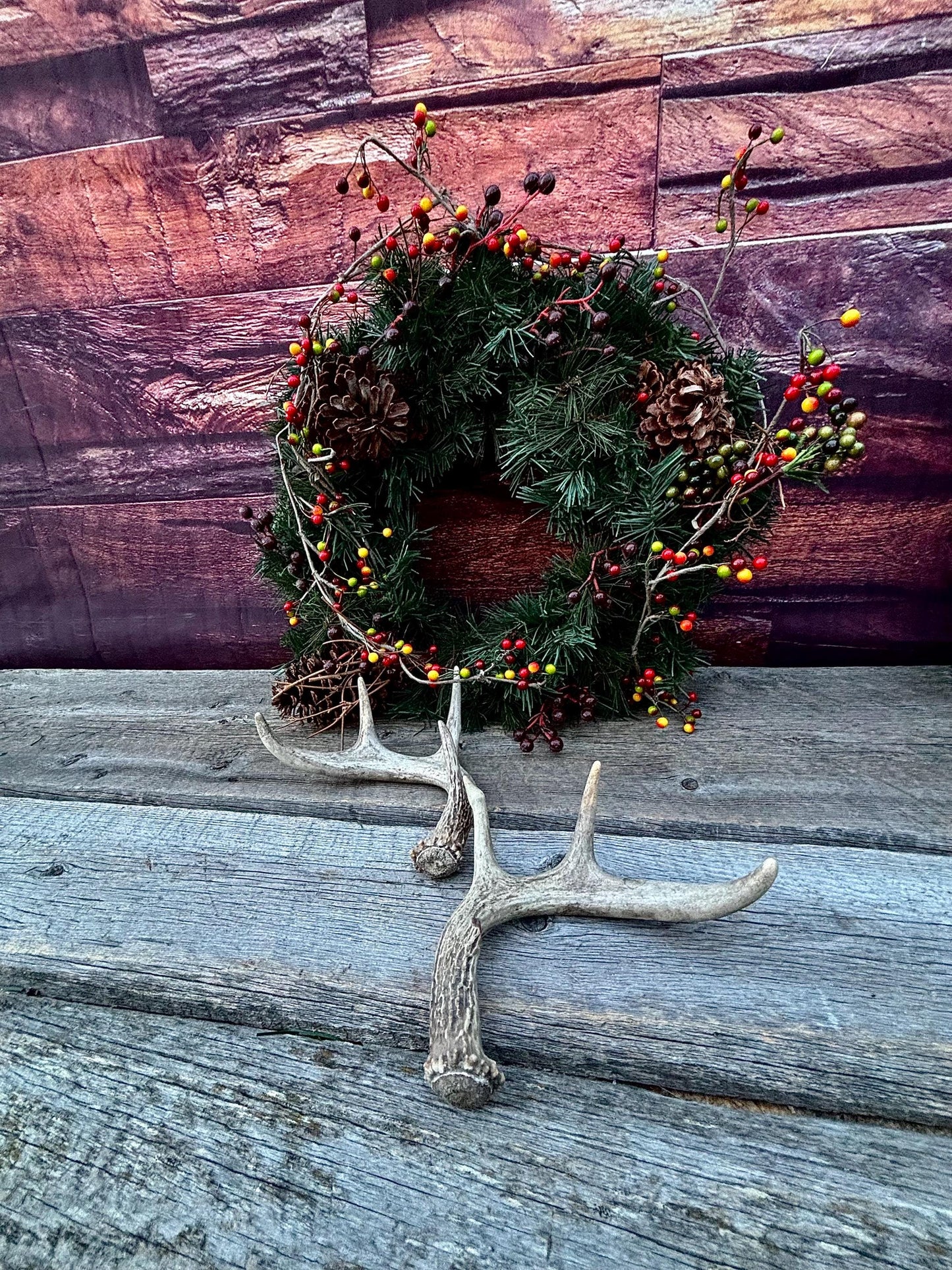 Set of Canadian Whitetail Deer Antlers. Classic Fresh, Large, Small 4x4 Antler Set.