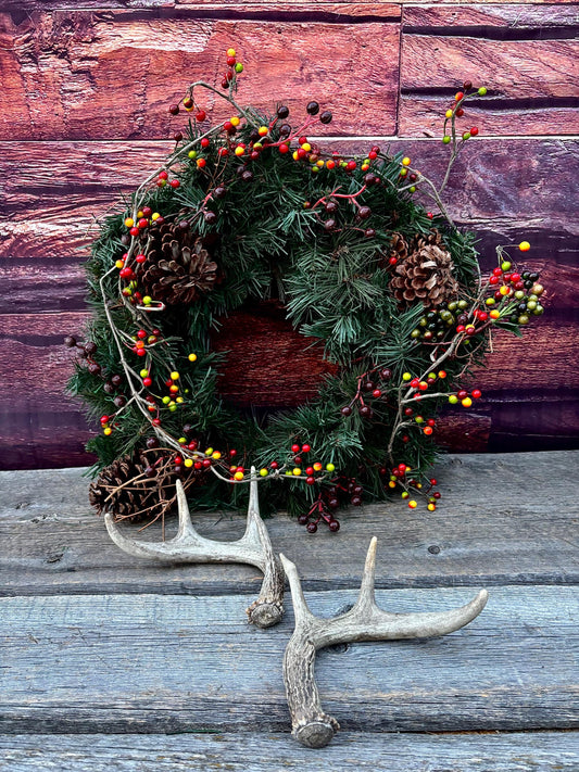 Set of Canadian Whitetail Deer Antlers. Classic Fresh, Large, Small 4x4 Antler Set.