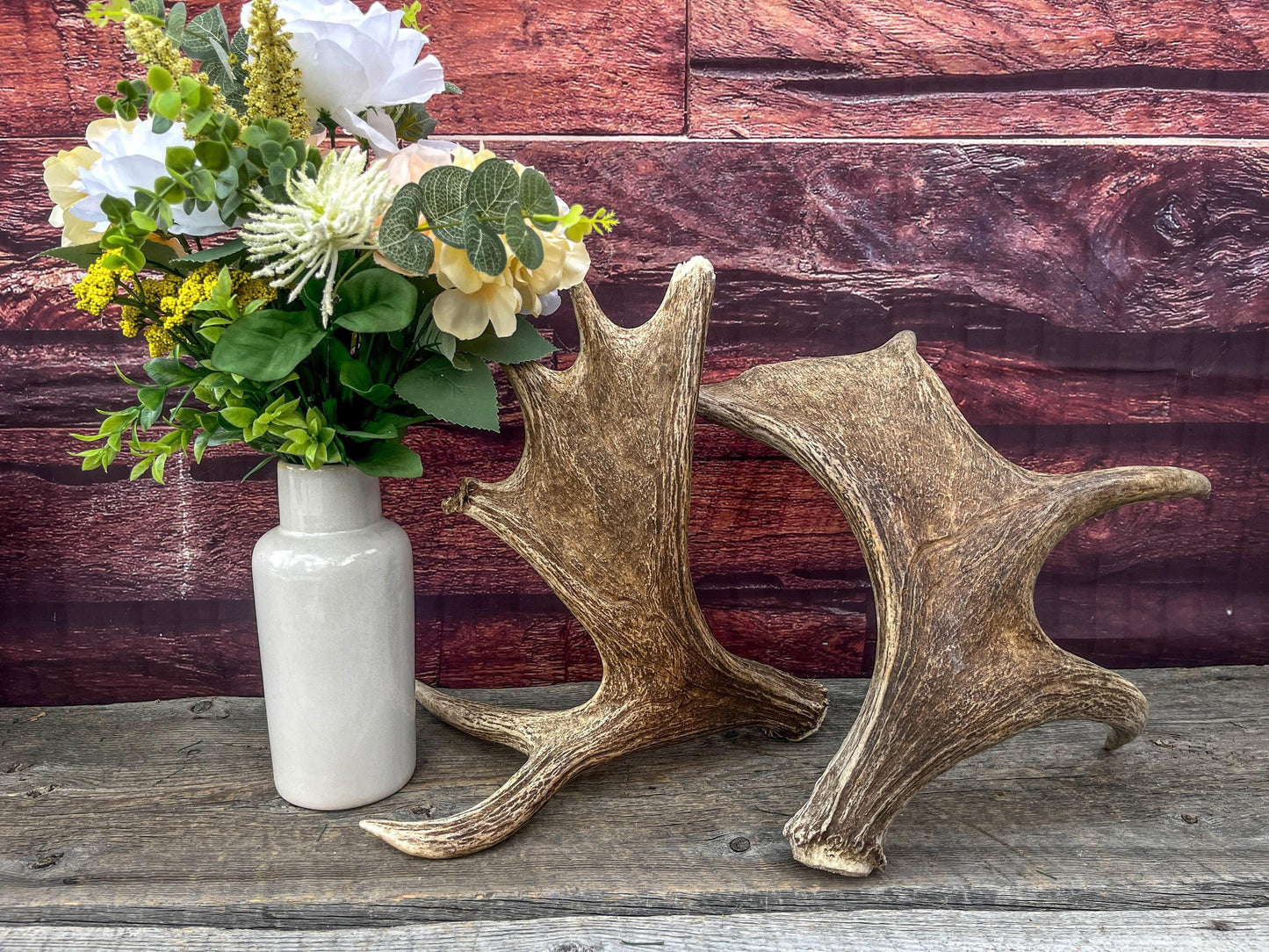 Moose Antler Set - Found 1 Year Apart: Crafting, Decor and More