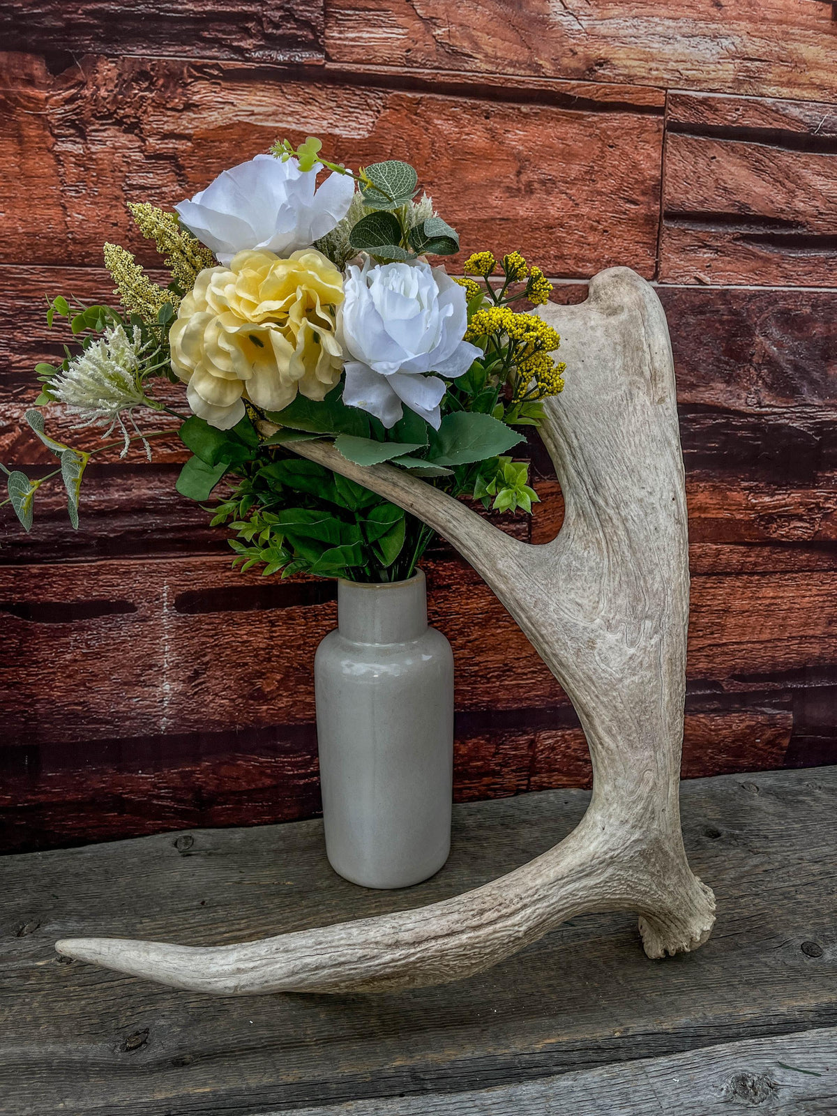 Med-Sized Moose Shed Antler. For Decor, Crafting and More!