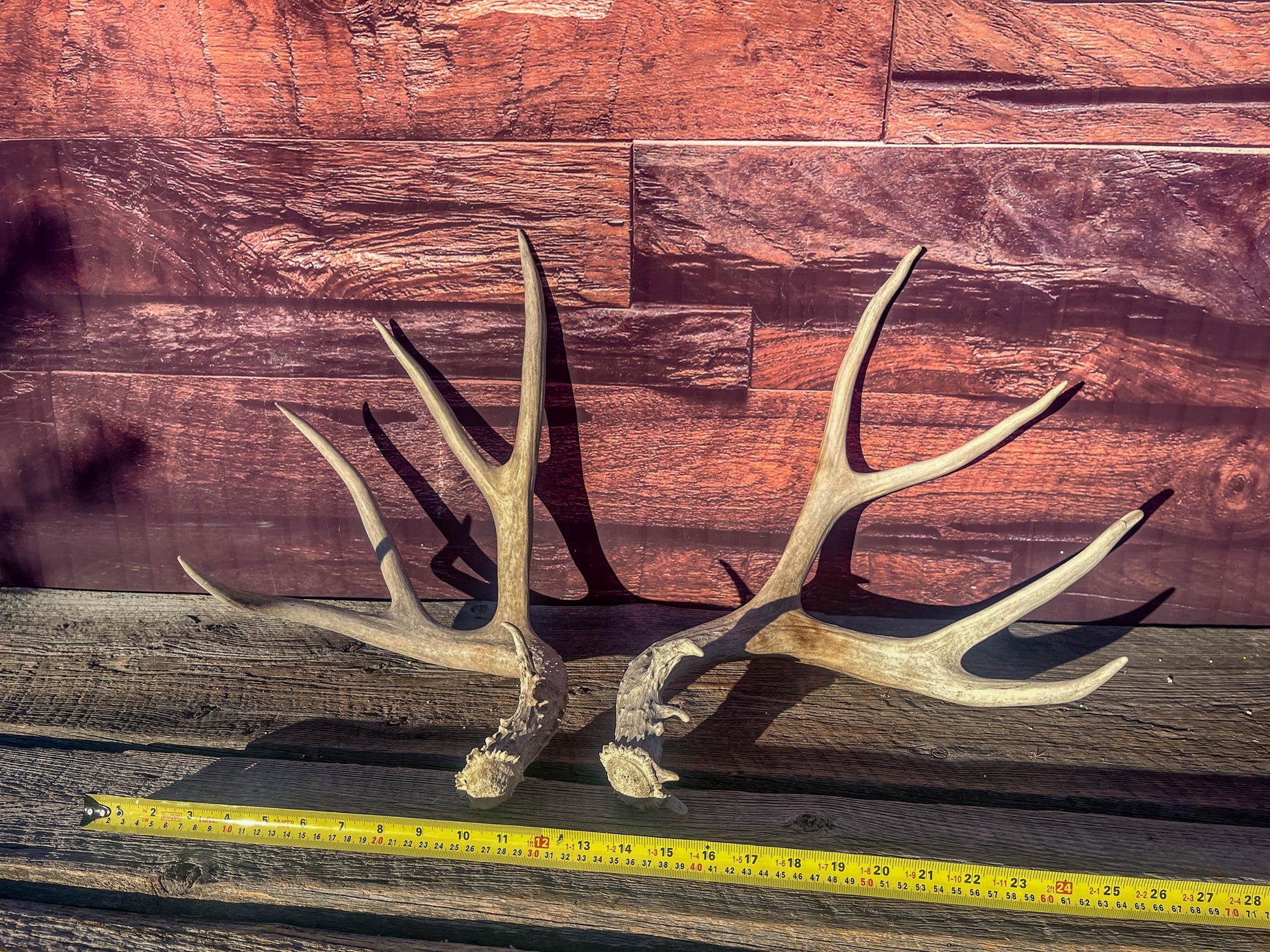 Mule Deer Antlers. Matching Antler Set. Rustic & Farmhouse Decor, Interior Design, and more!