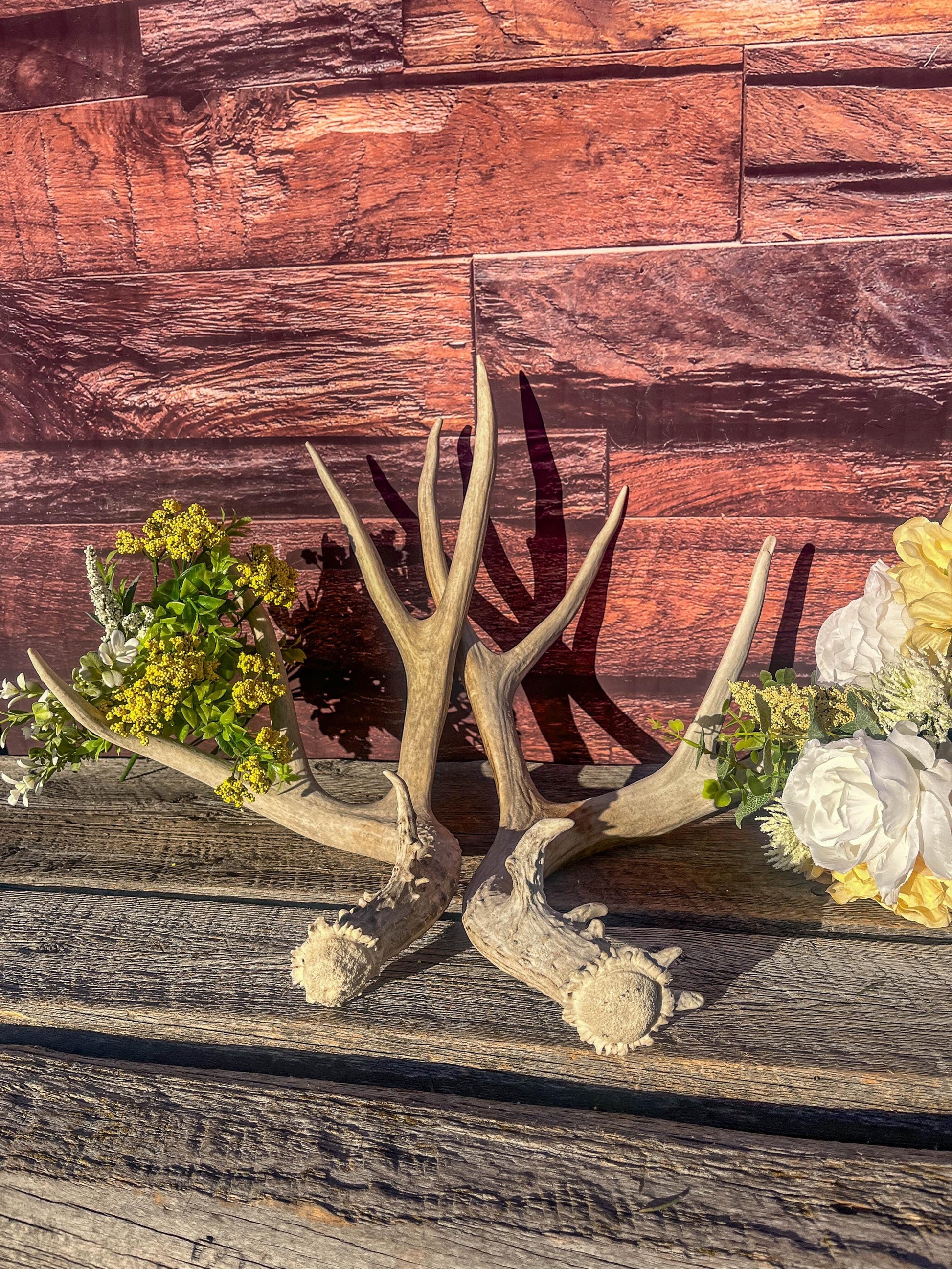 Mule Deer Antlers. Matching Antler Set. Rustic & Farmhouse Decor, Interior Design, and more!