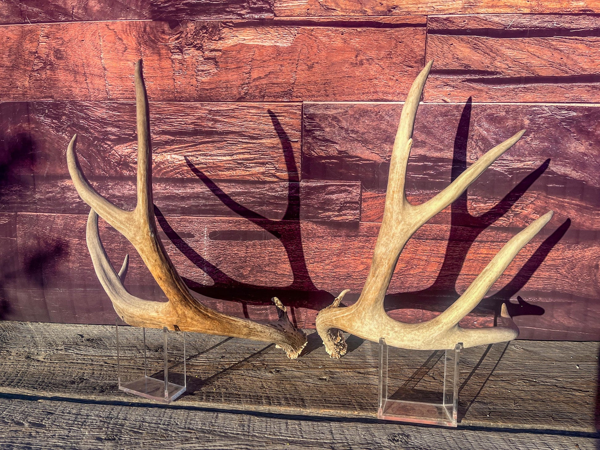 Mule Deer Antlers. Matching Antler Set. Rustic & Farmhouse Decor, Interior Design, and more!