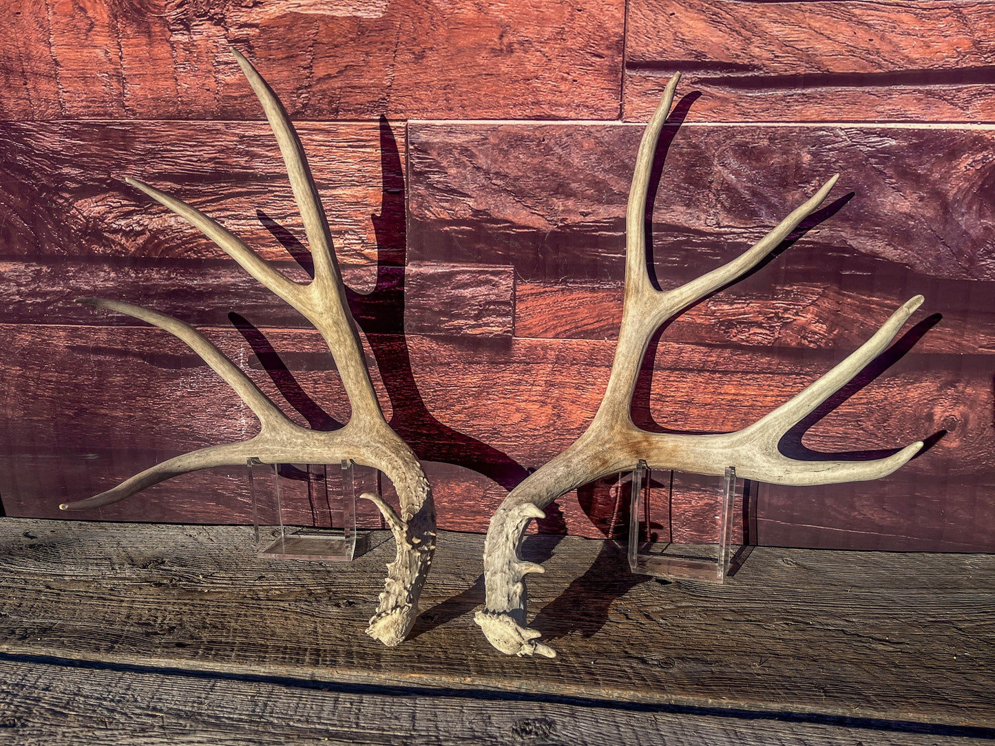 Mule Deer Antlers. Matching Antler Set. Rustic & Farmhouse Decor, Interior Design, and more!