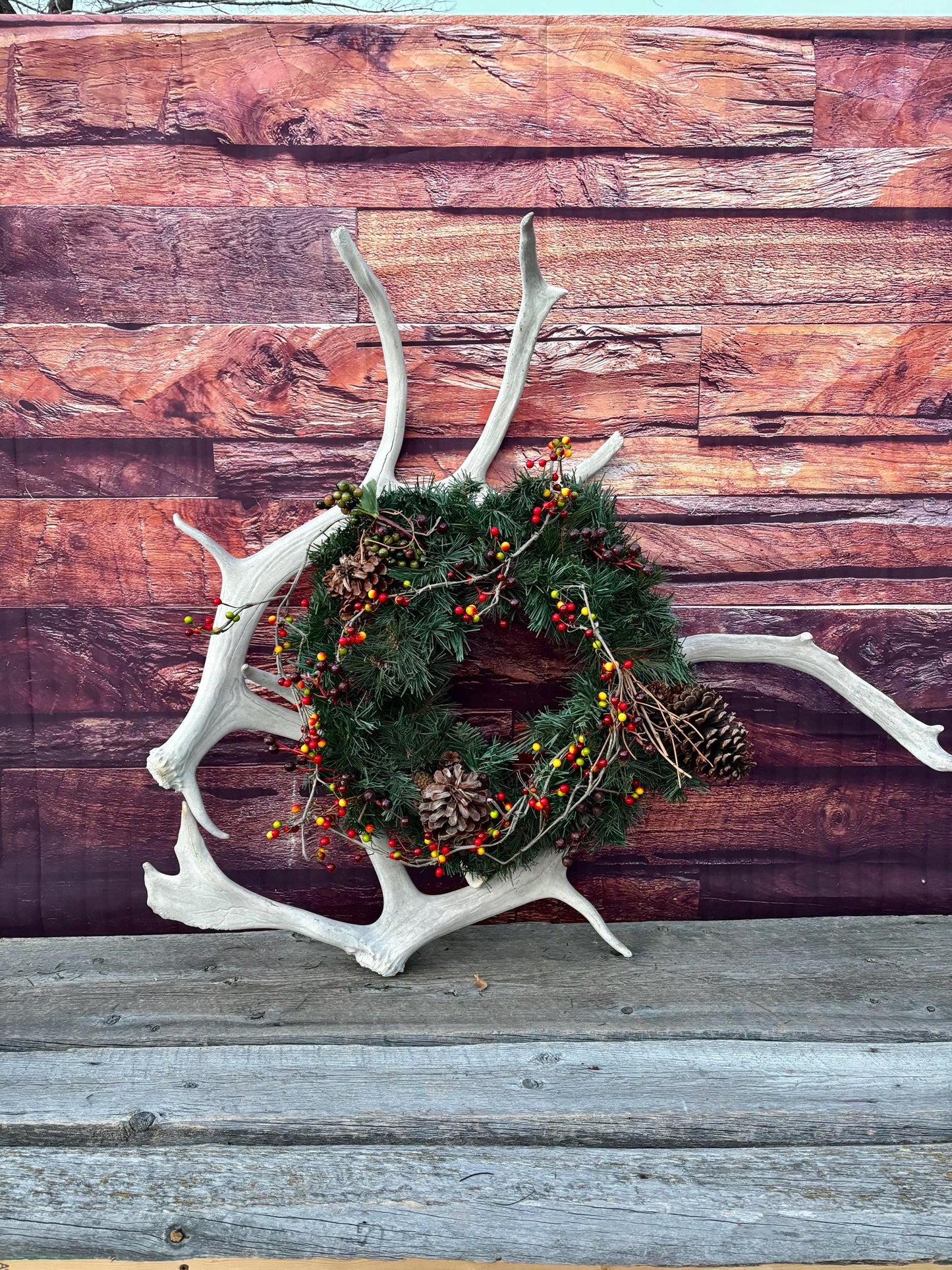 Huge Bull Caribou Antlers! Matched Set of Heavily Weathered Antlers. For decor, crafting and more!