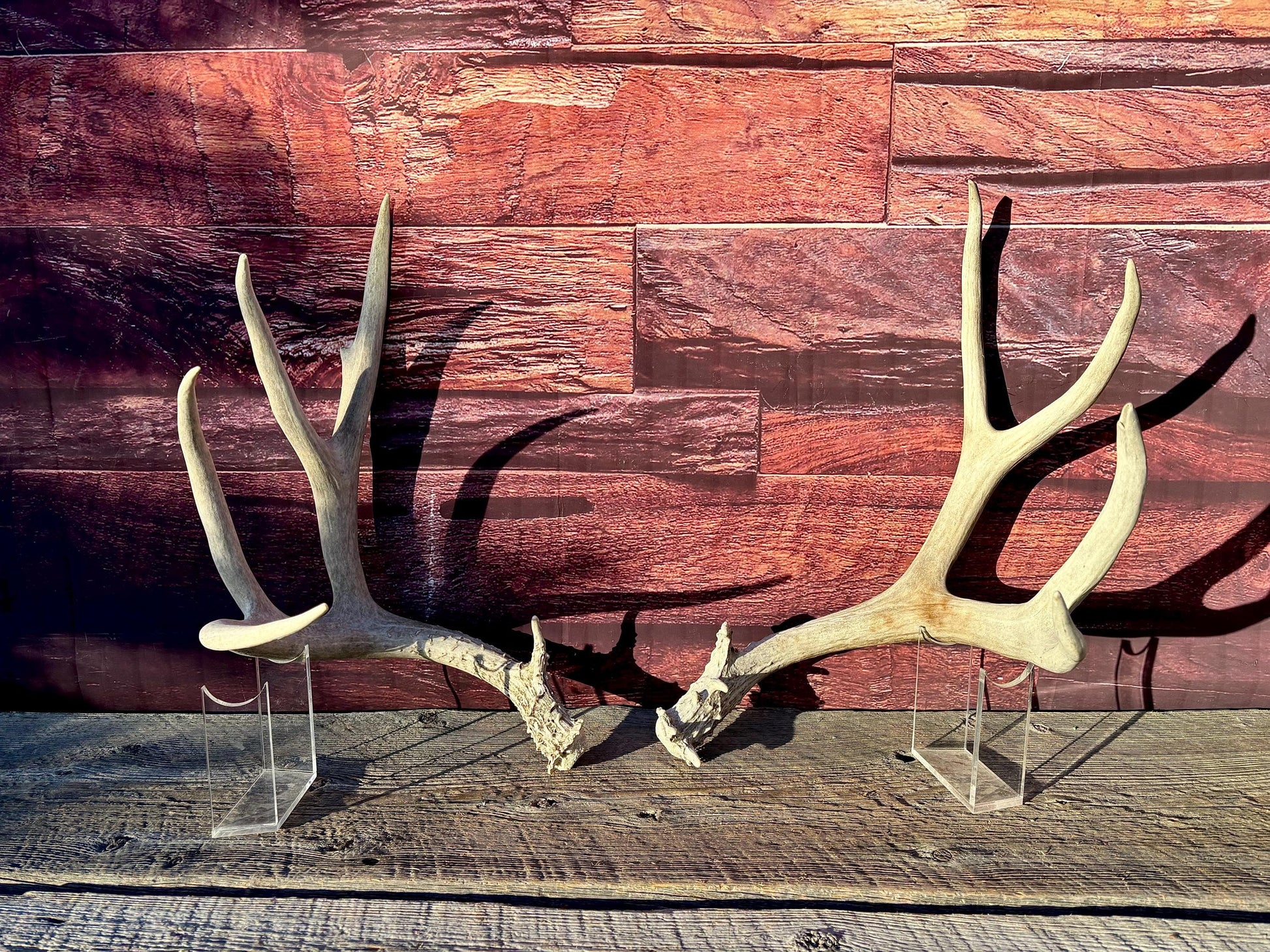 Mule Deer Antlers. Matching Antler Set. Rustic & Farmhouse Decor, Interior Design, and more!