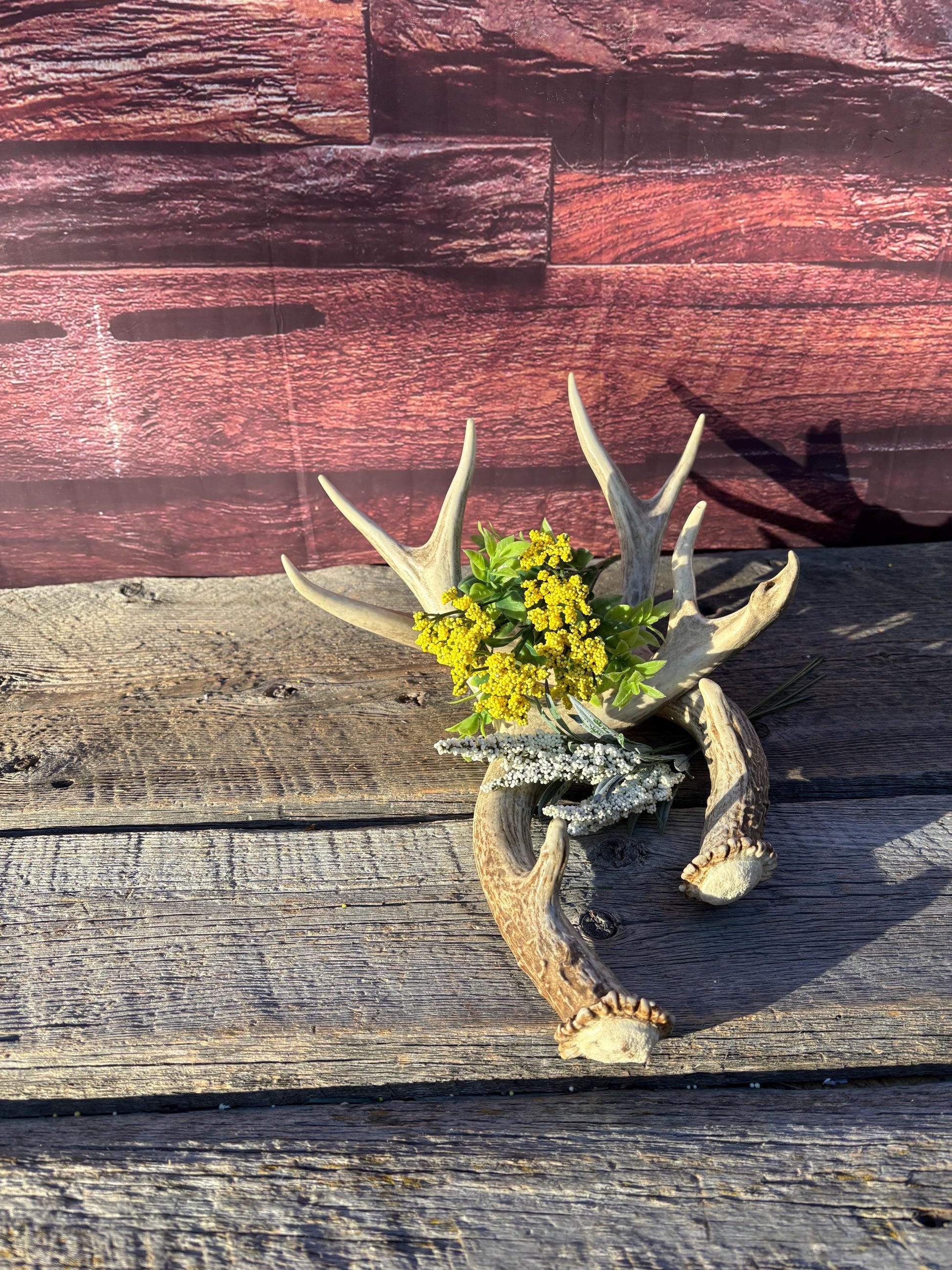 Matching Mule Deer Antler Set. For Decor. Wild, Naturally Shed, Canadian Deer Antlers.