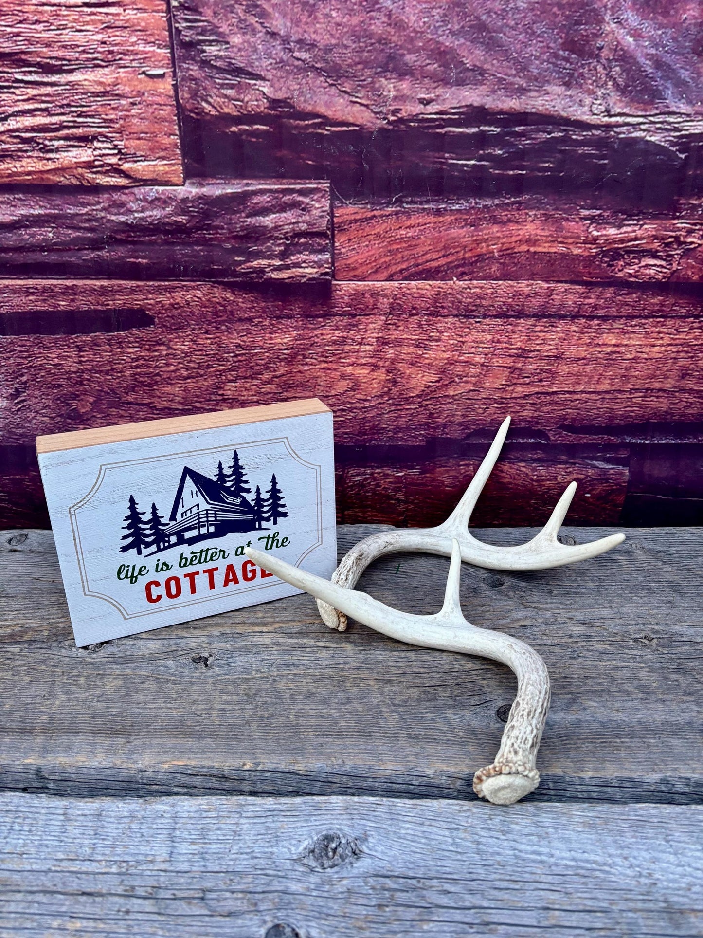 White-tailed Deer Antlers - Small and Asymmetrical Matching set. Canadian Buck. Crafting and Decor Antlers