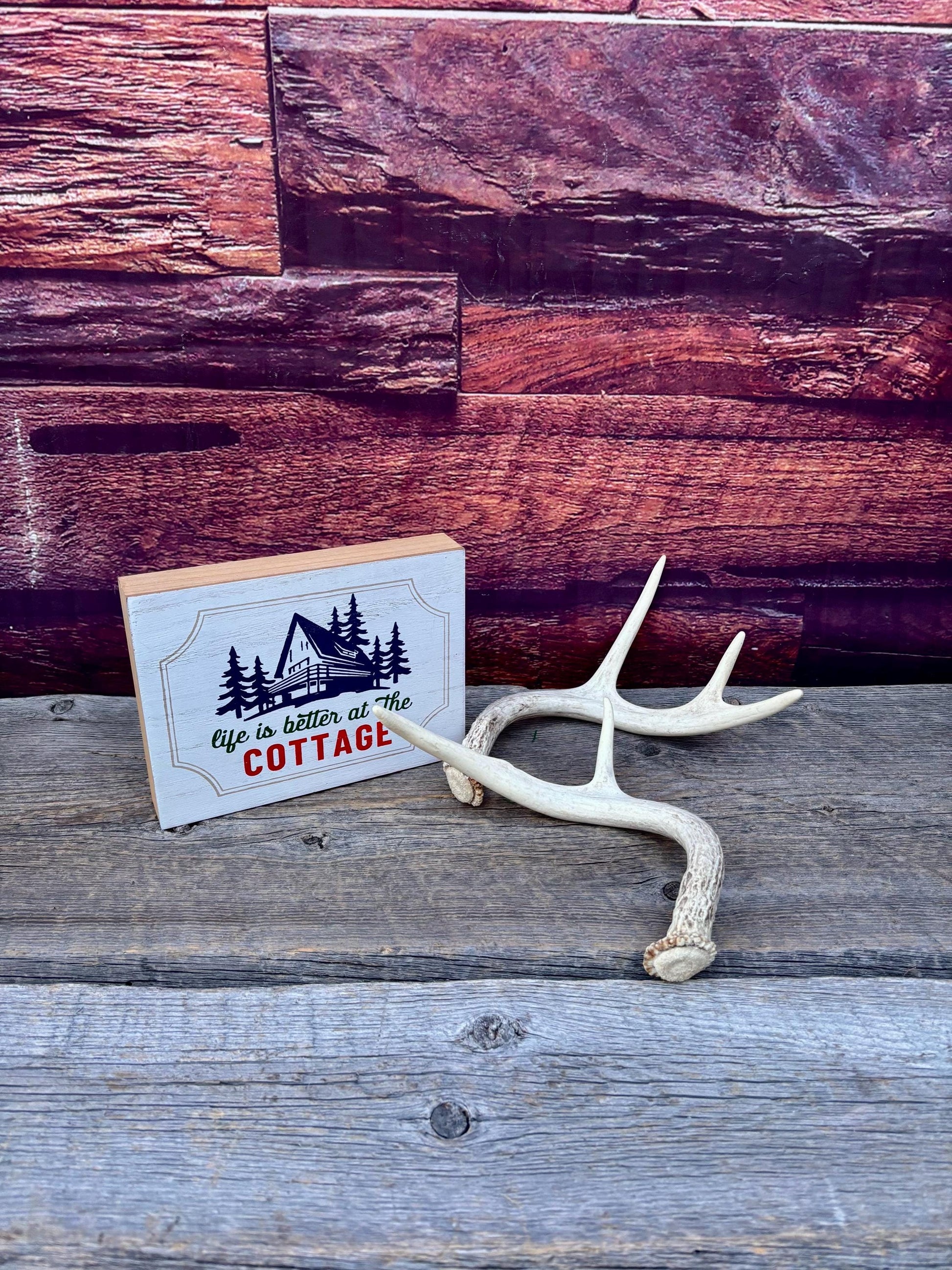 White-tailed Deer Antlers - Small and Asymmetrical Matching set. Canadian Buck. Crafting and Decor Antlers