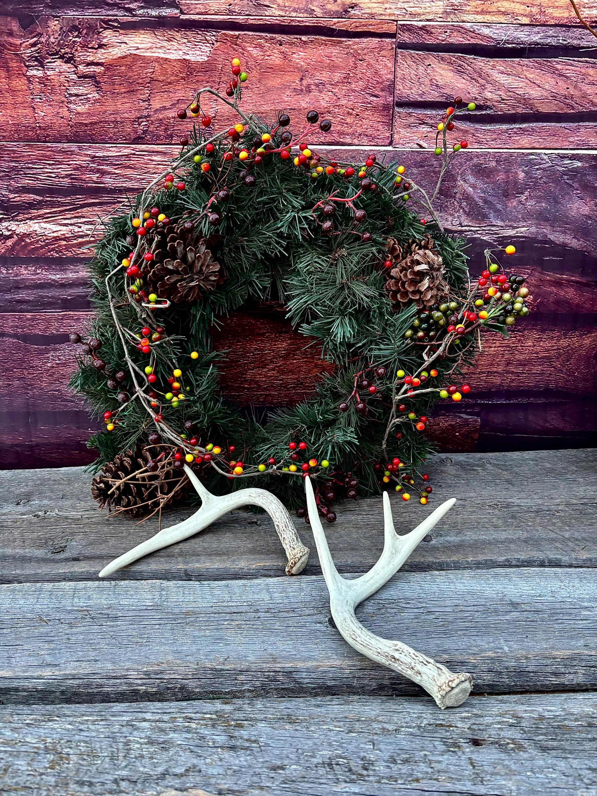 White-tailed Deer Antlers - Small and Asymmetrical Matching set. Canadian Buck. Crafting and Decor Antlers