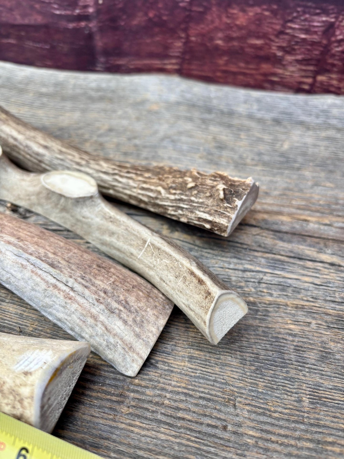 Split Antler Chews - Medium Size. Premium Split Antler Chews (4-pack)