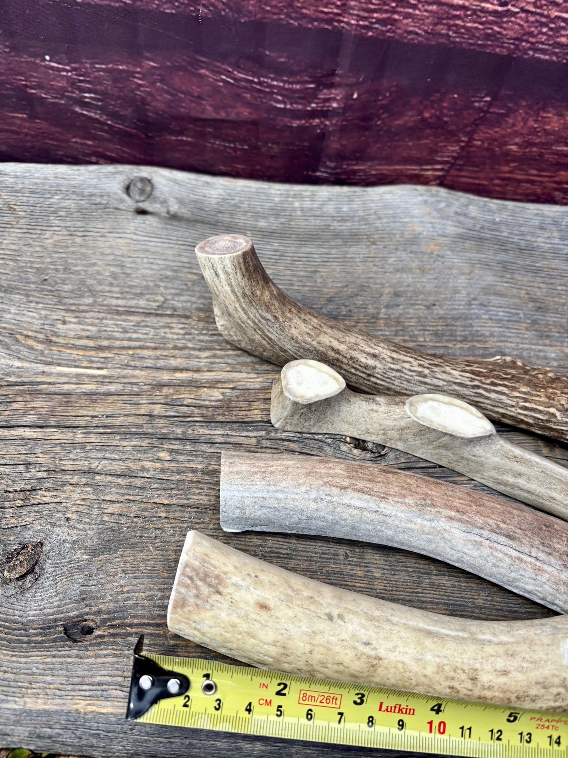 Split Antler Chews - Medium Size. Premium Split Antler Chews (4-pack)