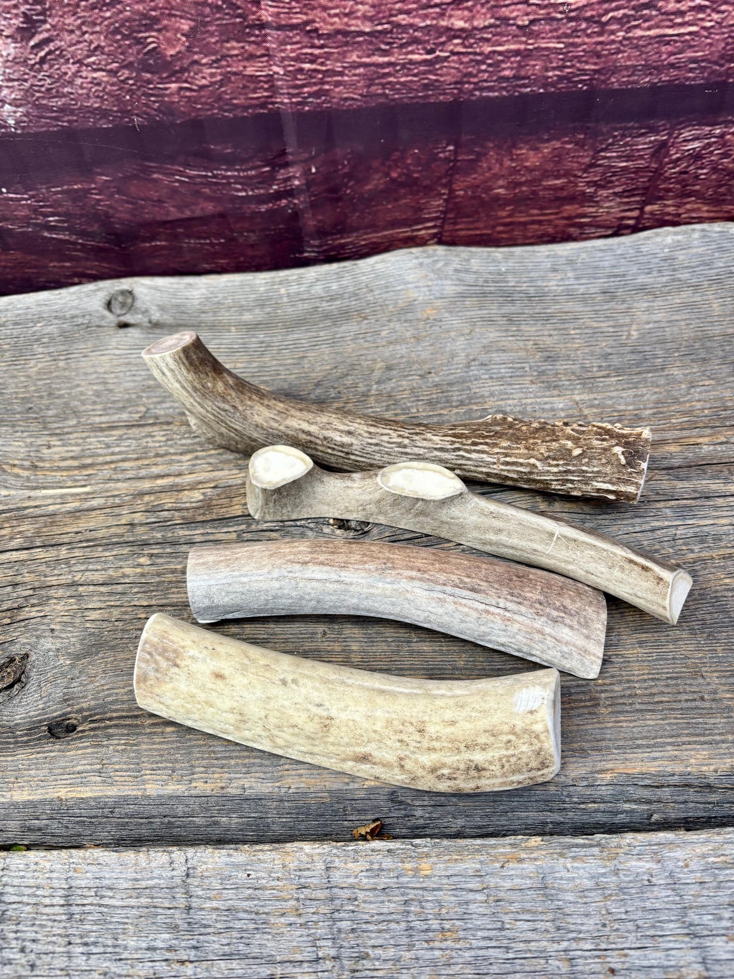 Split Antler Chews - Medium Size. Premium Split Antler Chews (4-pack)