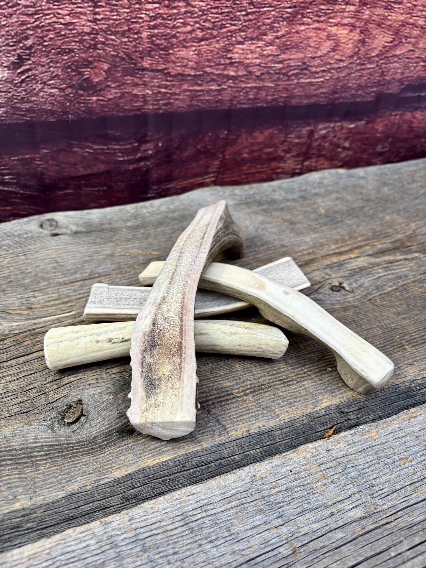Split Antler Chews - Medium Size. Premium Split Antler Chews (4-pack)