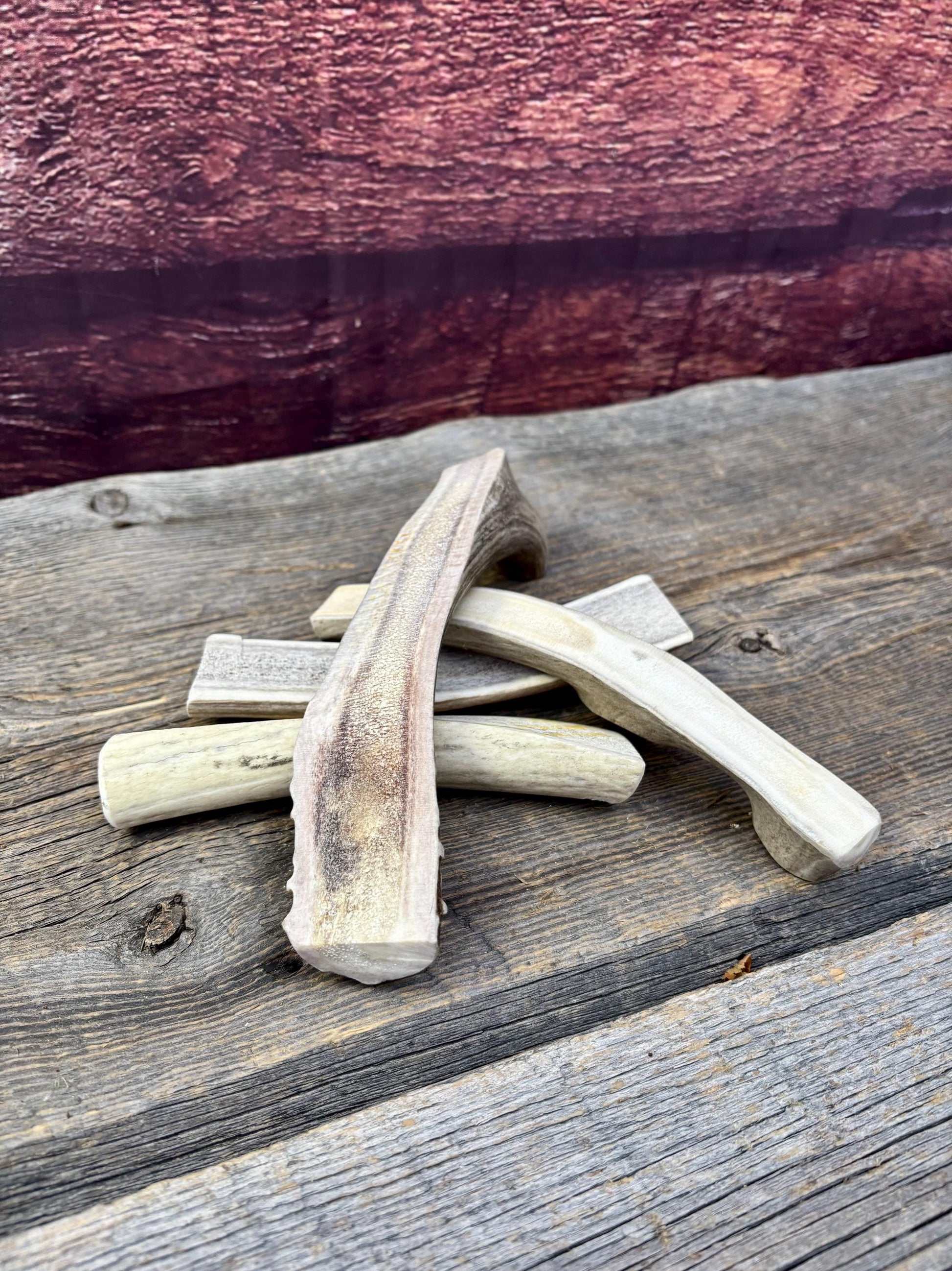 Split Antler Chews - Medium Size. Premium Split Antler Chews (4-pack)