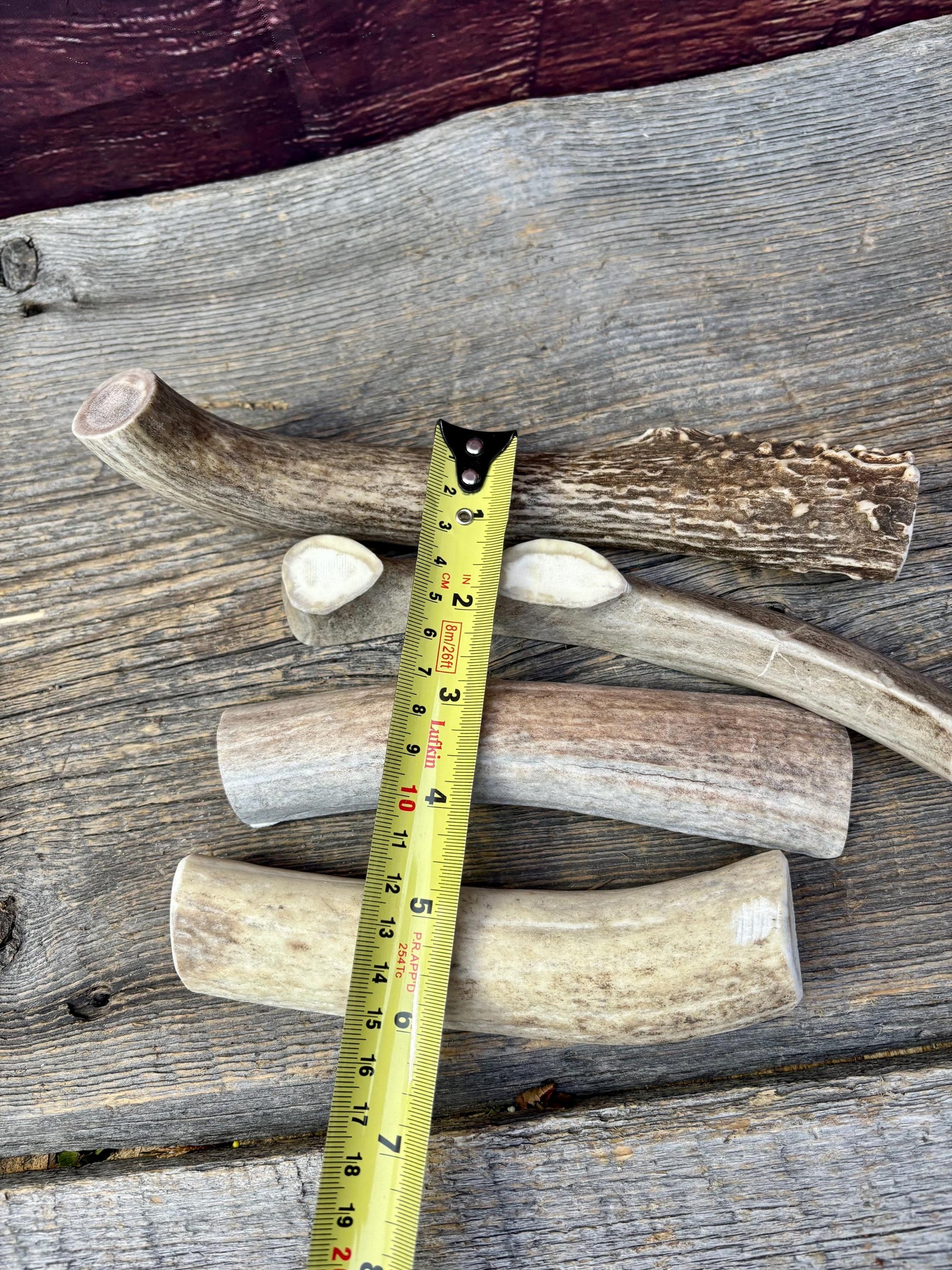 Split Antler Chews - Medium Size. Premium Split Antler Chews (4-pack)