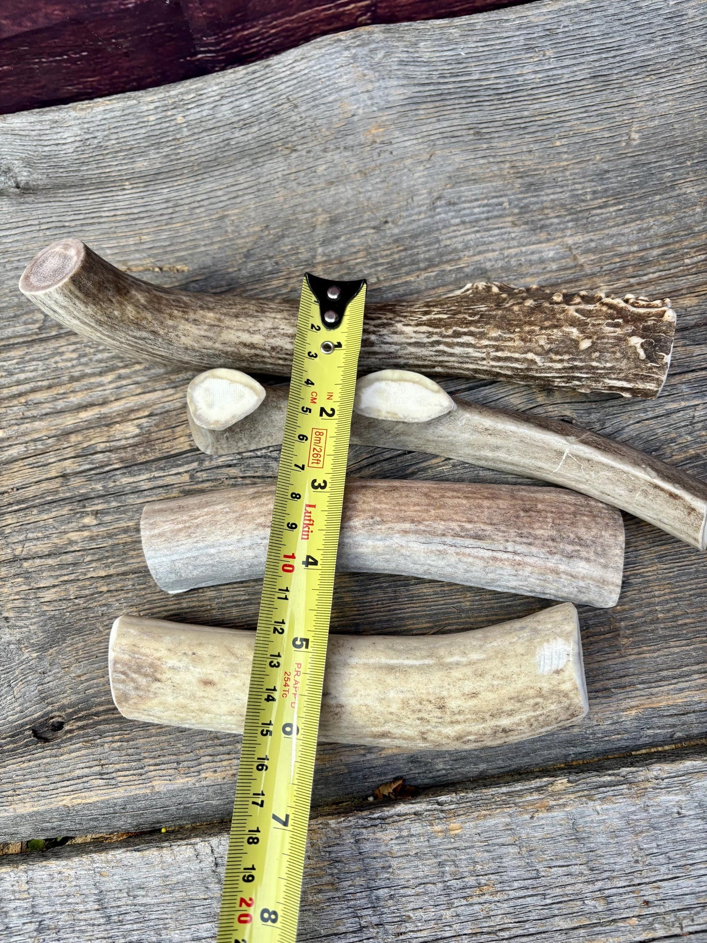 Split Antler Chews - Medium Size. Premium Split Antler Chews (4-pack)