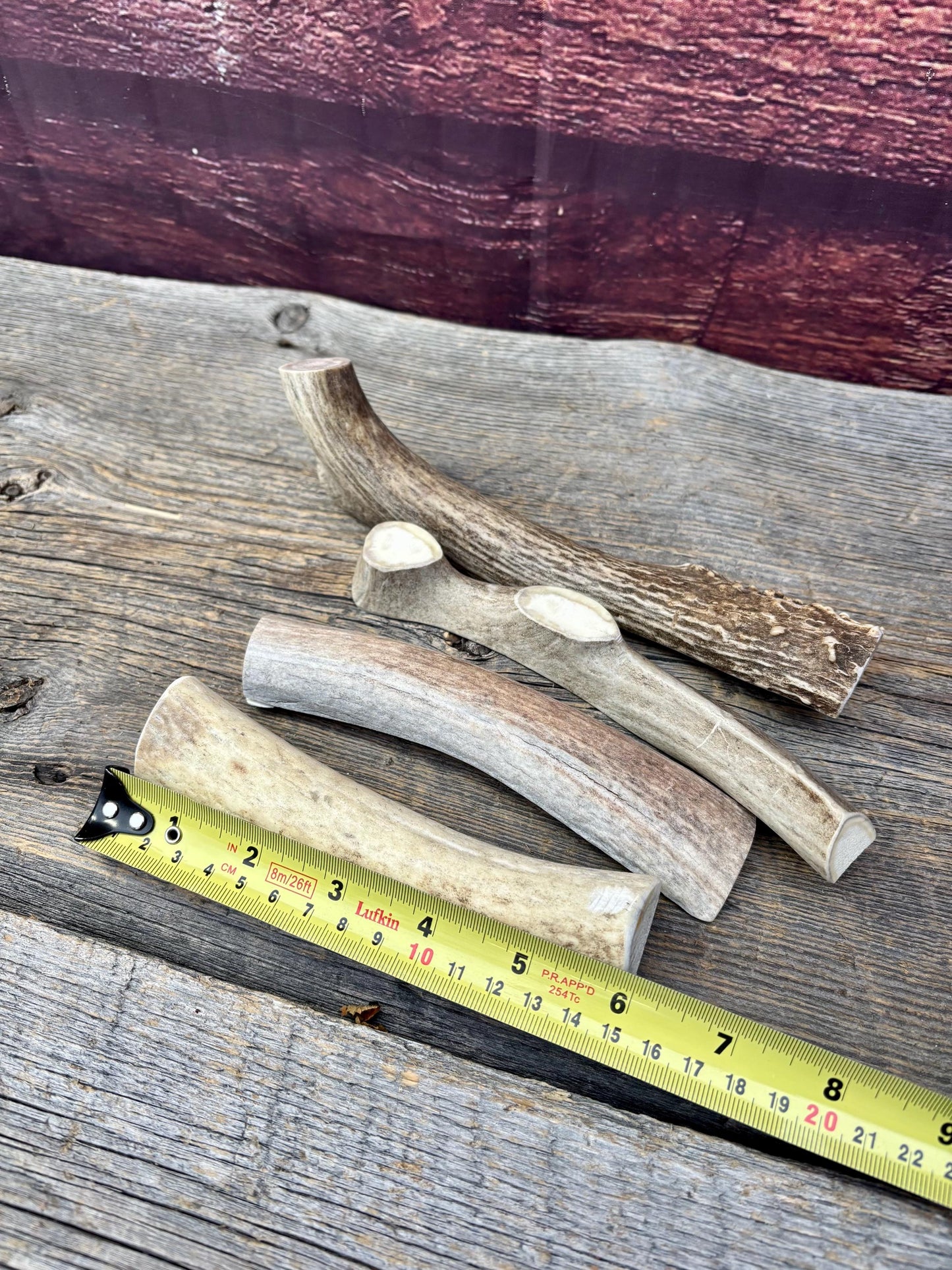 Split Antler Chews - Medium Size. Premium Split Antler Chews (4-pack)