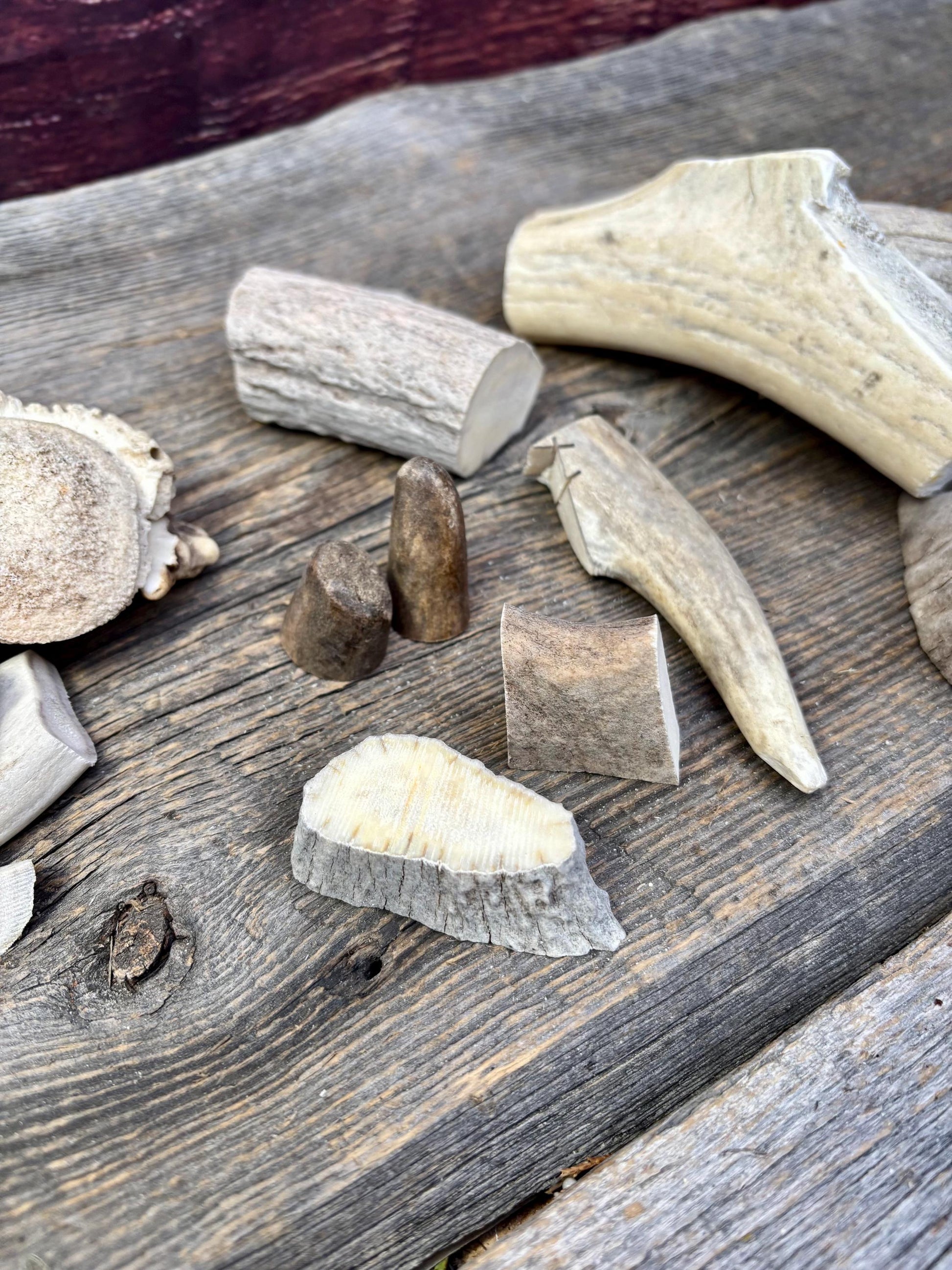Deer, Moose and Elk Antler Chunks and Trimmings, small chunks and Trimmings and Tips. Useable for Crafting, Decor and More!
