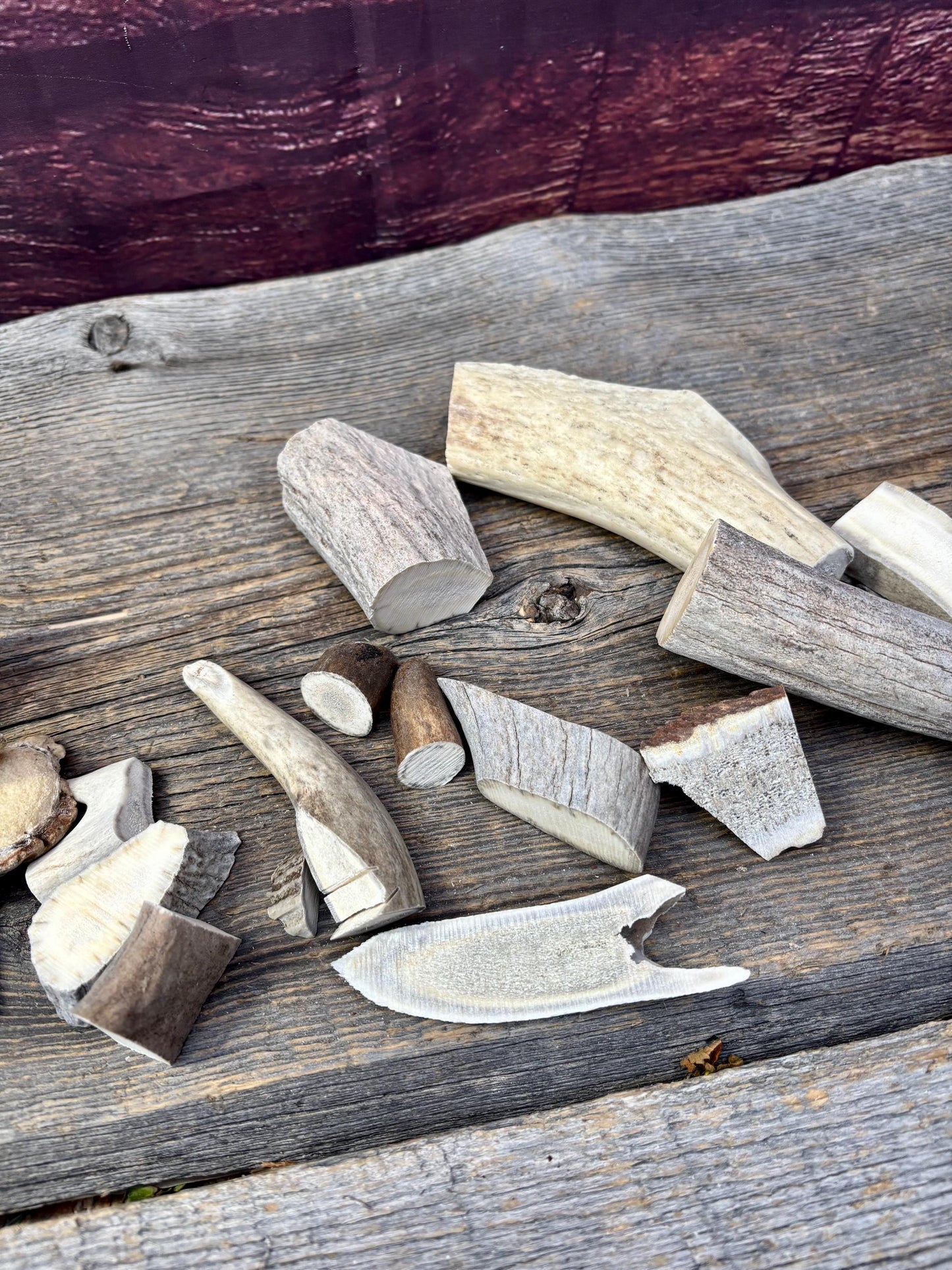 Deer, Moose and Elk Antler Chunks and Trimmings, small chunks and Trimmings and Tips. Useable for Crafting, Decor and More!
