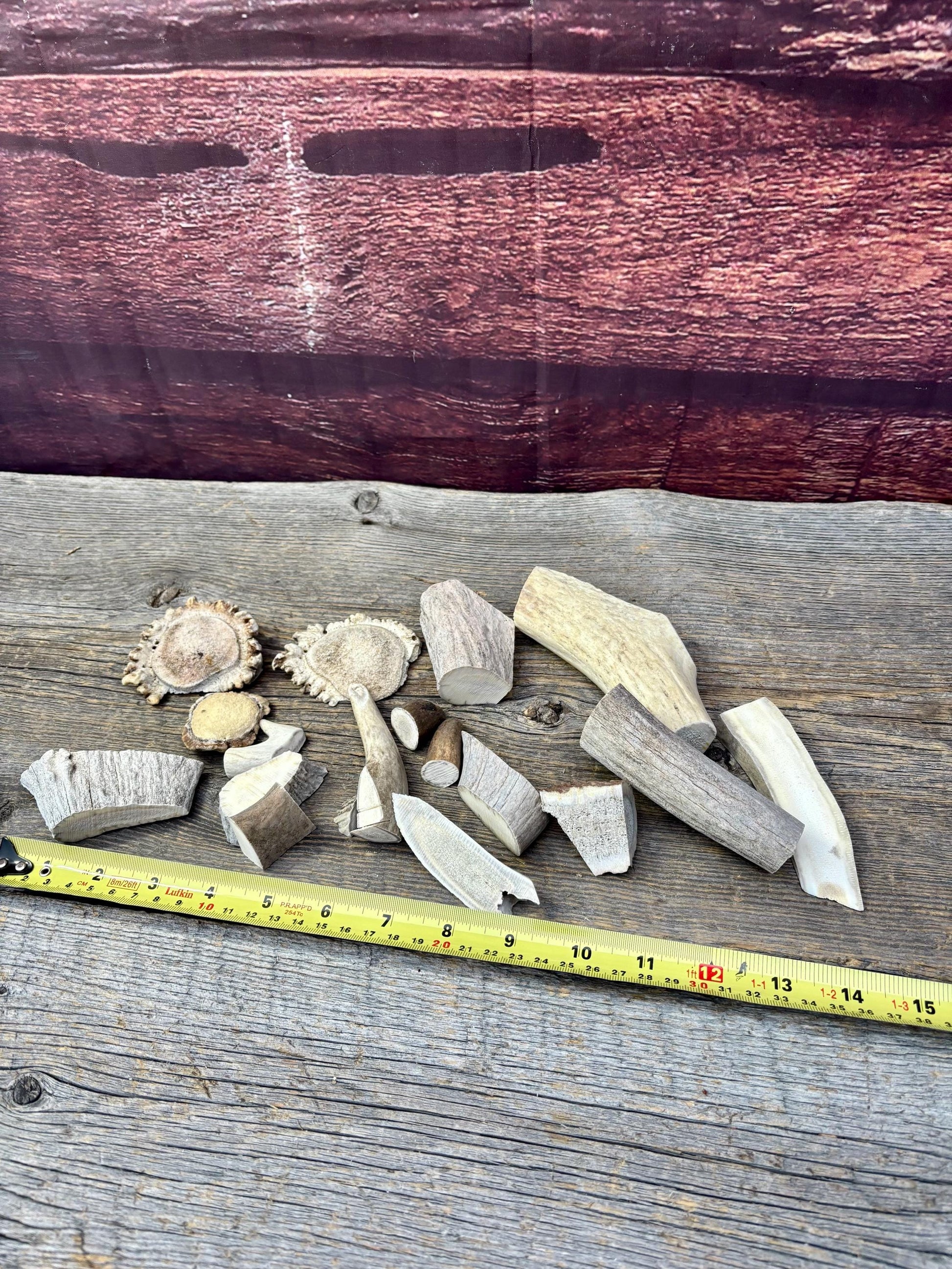 Deer, Moose and Elk Antler Chunks and Trimmings, small chunks and Trimmings and Tips. Useable for Crafting, Decor and More!