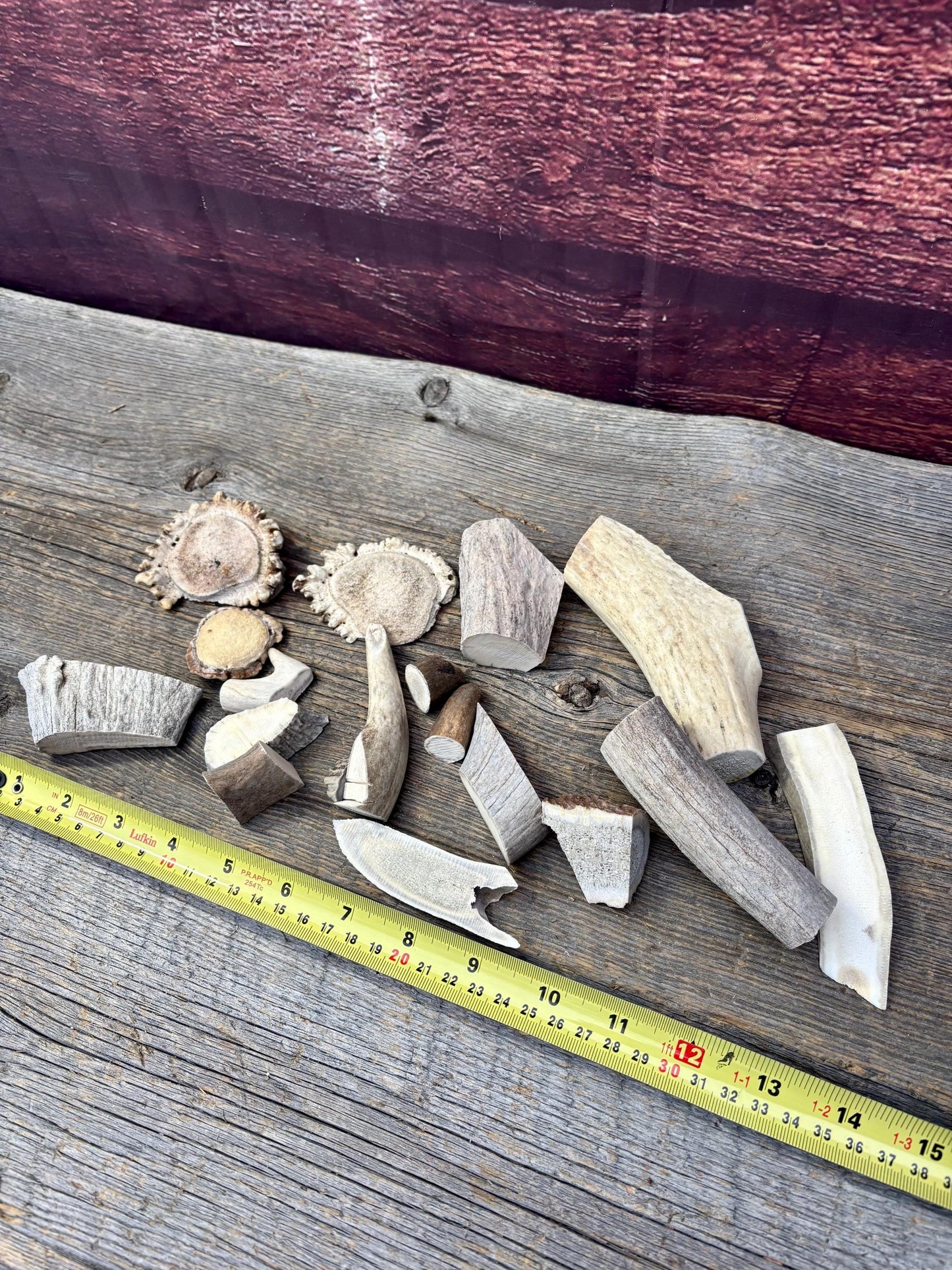 Deer, Moose and Elk Antler Chunks and Trimmings, small chunks and Trimmings and Tips. Useable for Crafting, Decor and More!