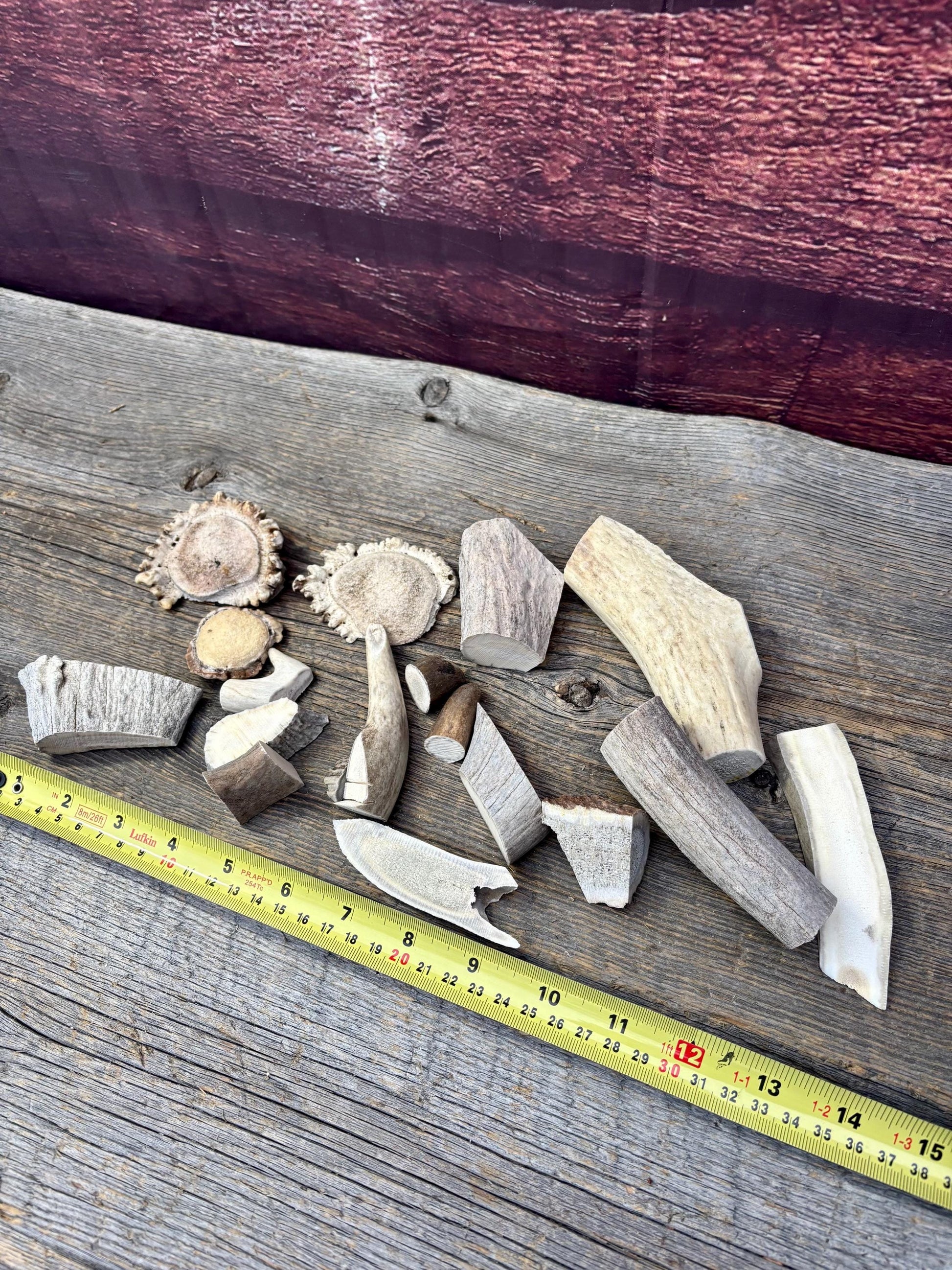 Deer, Moose and Elk Antler Chunks and Trimmings, small chunks and Trimmings and Tips. Useable for Crafting, Decor and More!