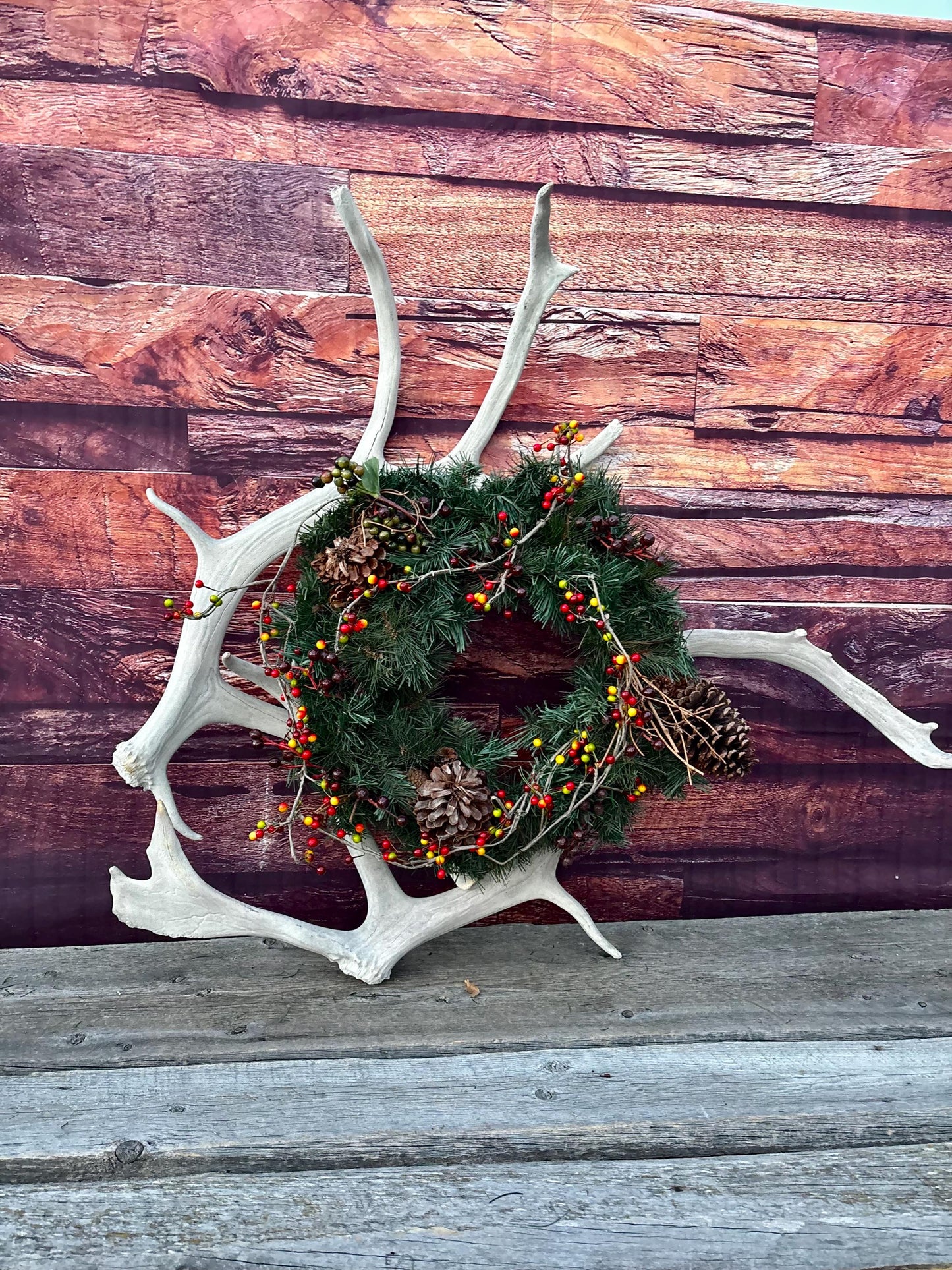 Huge Bull Caribou Antlers! Matched Set of Heavily Weathered Antlers. For decor, crafting and more!