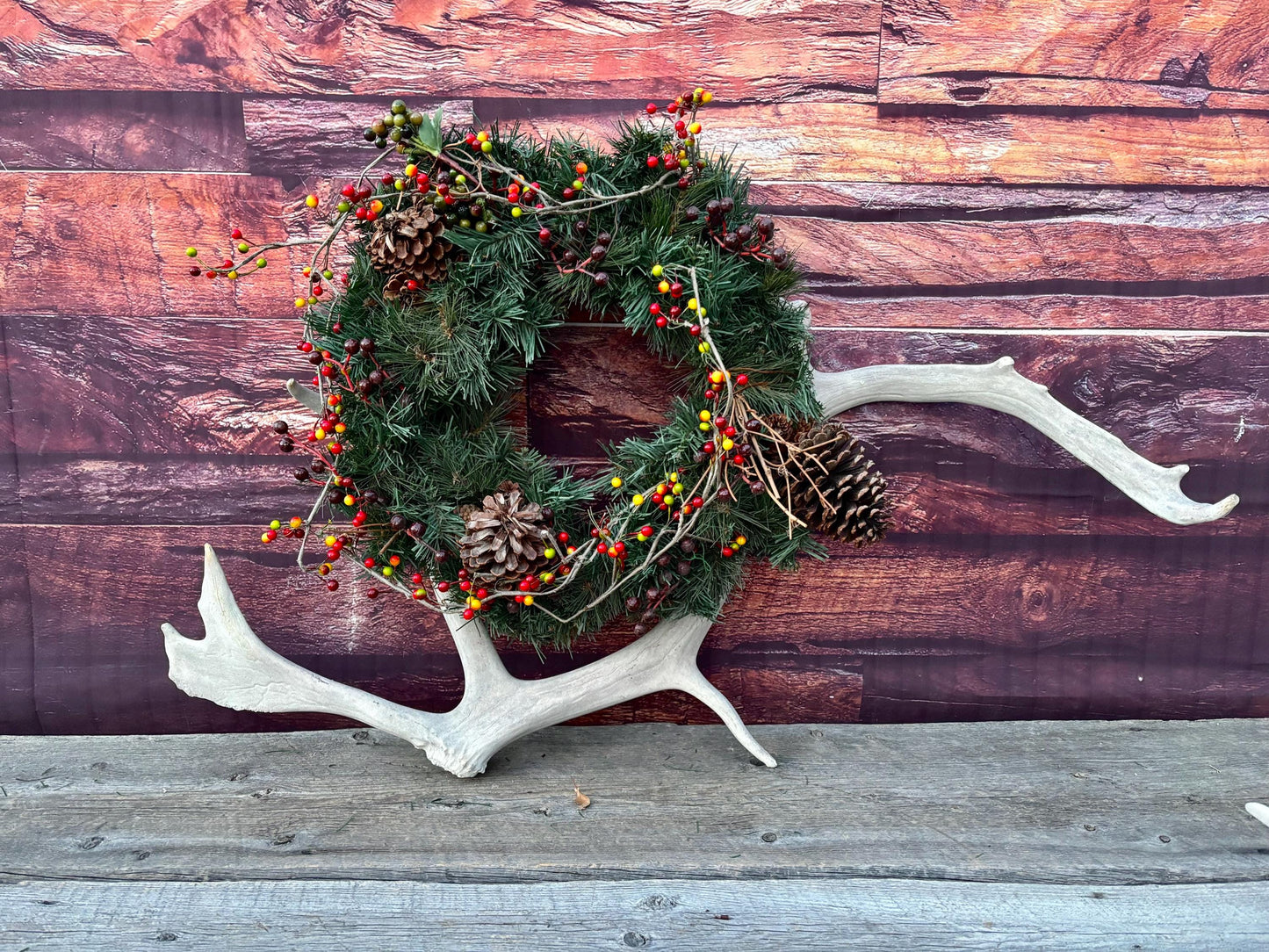 Huge Bull Caribou Antlers! Matched Set of Heavily Weathered Antlers. For decor, crafting and more!