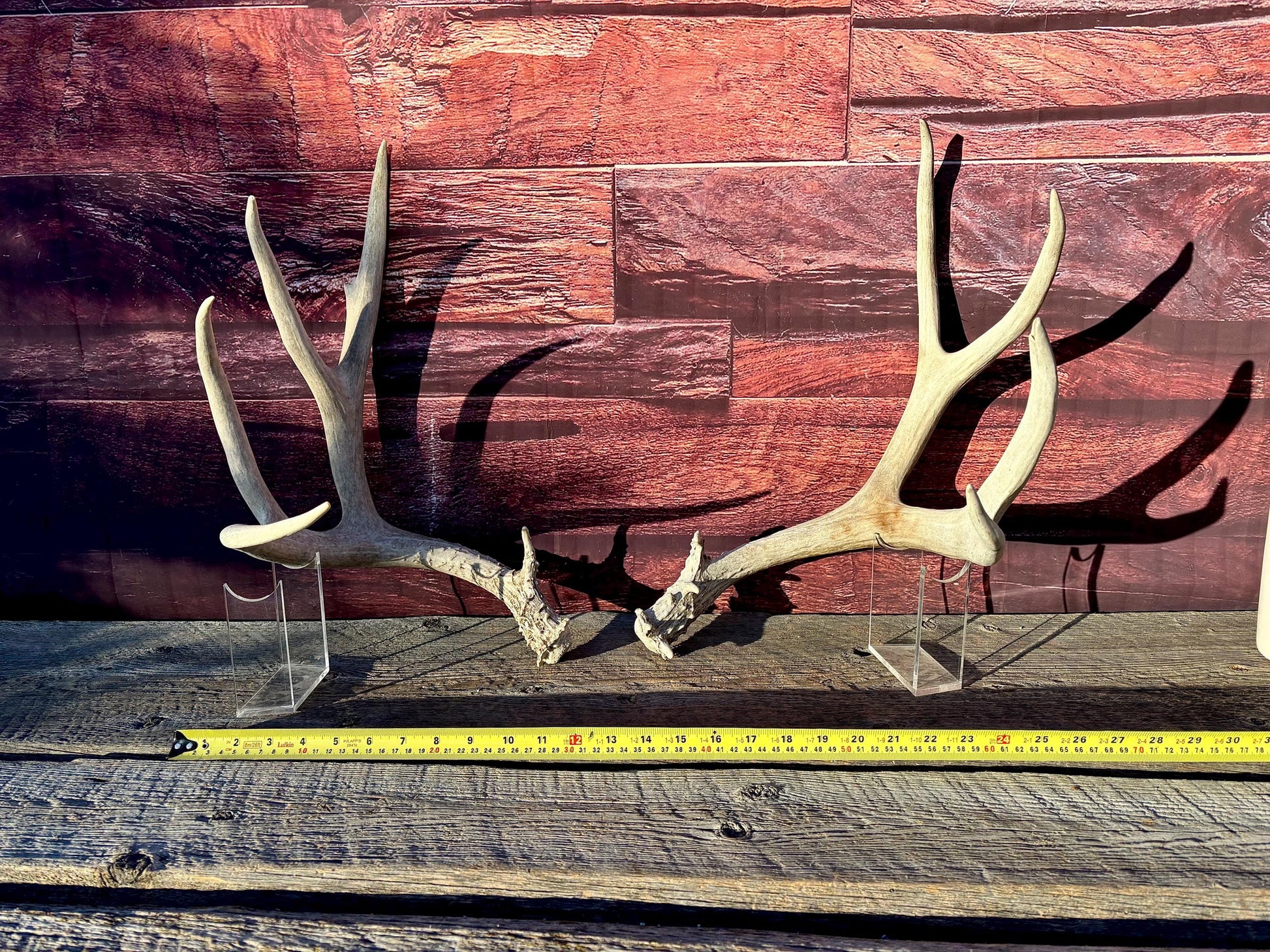 Mule Deer Antlers. Matching Antler Set. Rustic & Farmhouse Decor, Interior Design, and more!