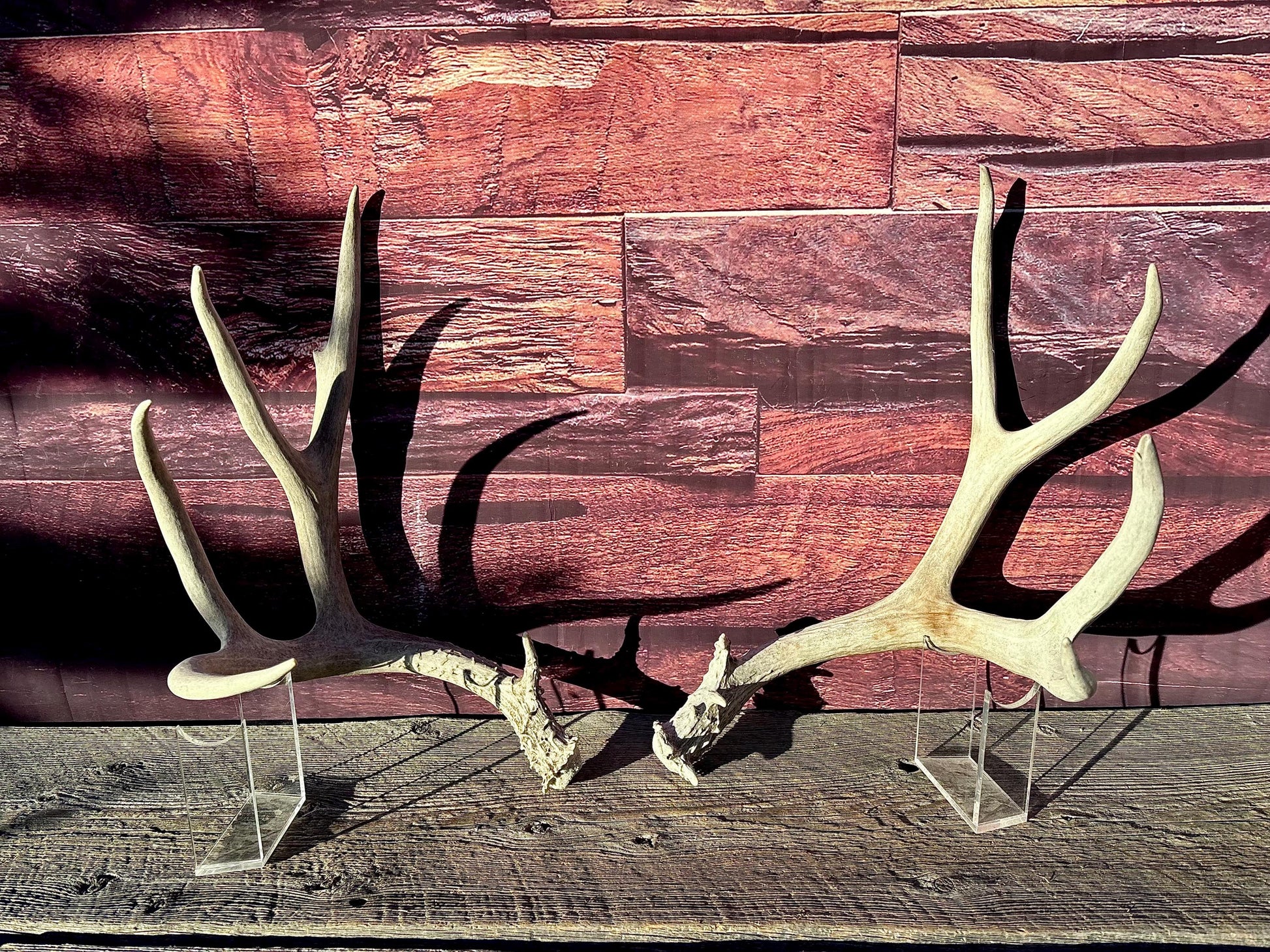 Mule Deer Antlers. Matching Antler Set. Rustic & Farmhouse Decor, Interior Design, and more!