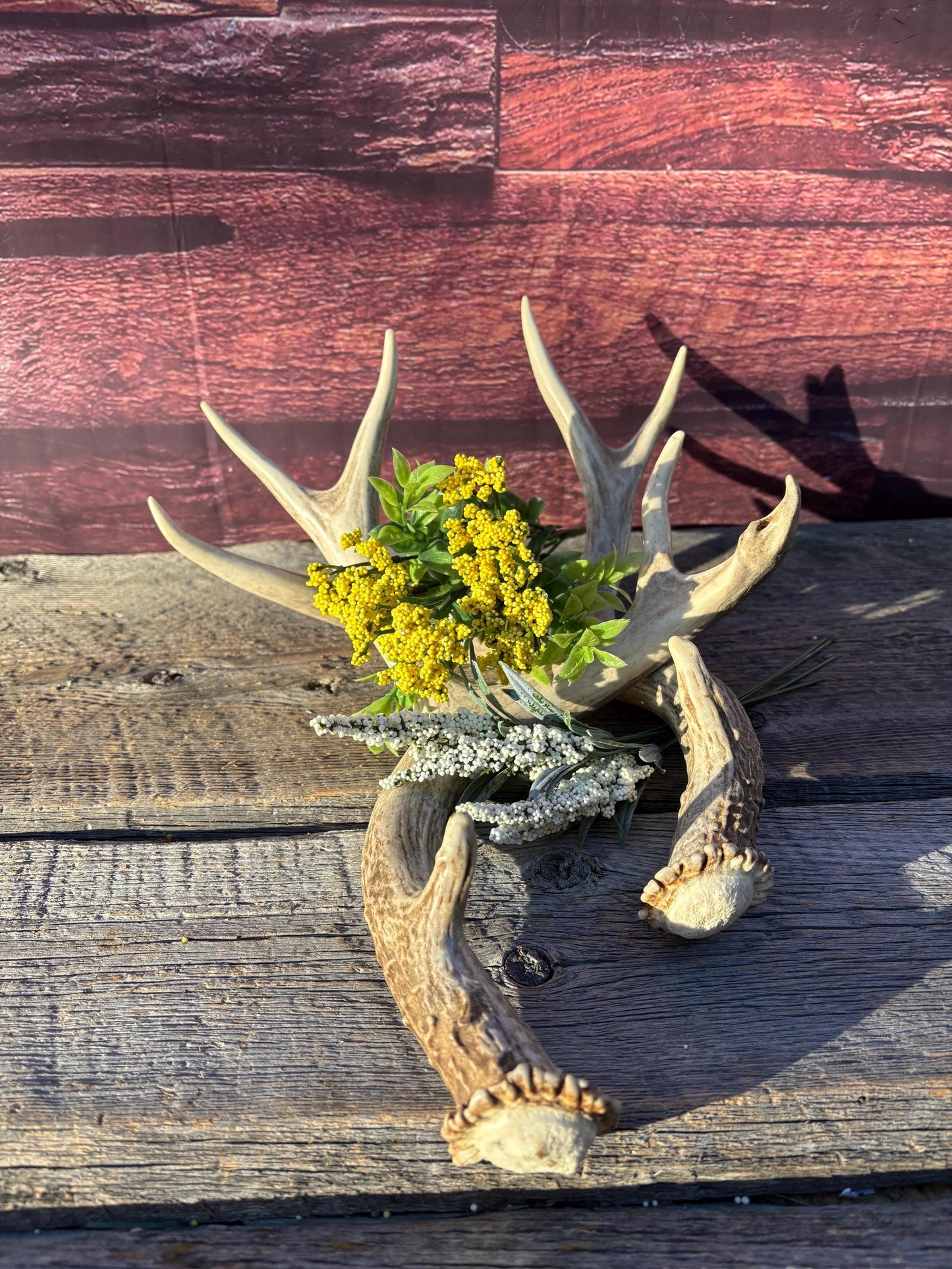Matching Mule Deer Antler Set. For Decor. Wild, Naturally Shed, Canadian Deer Antlers.