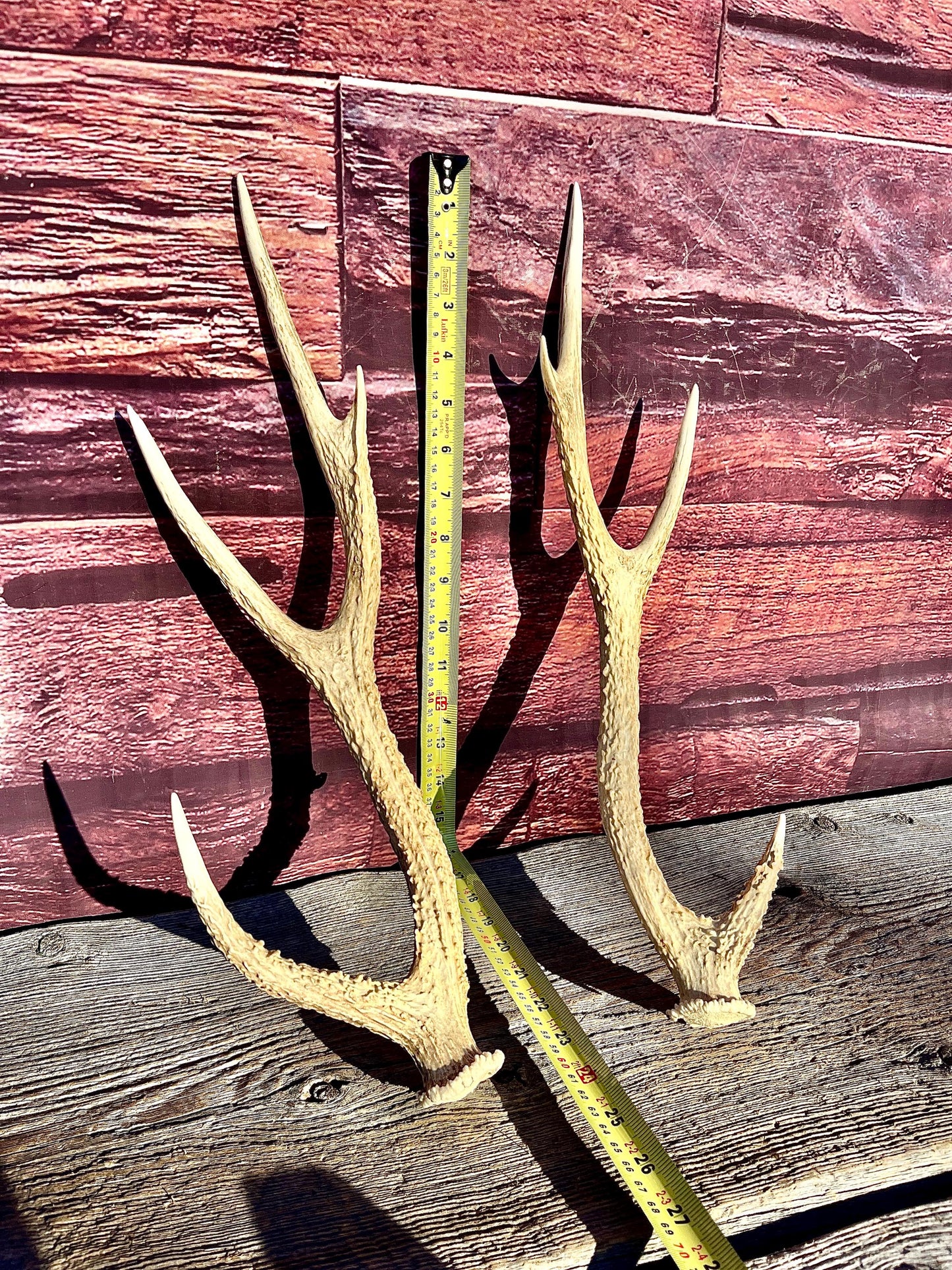 Axis Deer Matched Set. Premium High Density Naturally-Shed Antlers for Crafting Decor and More
