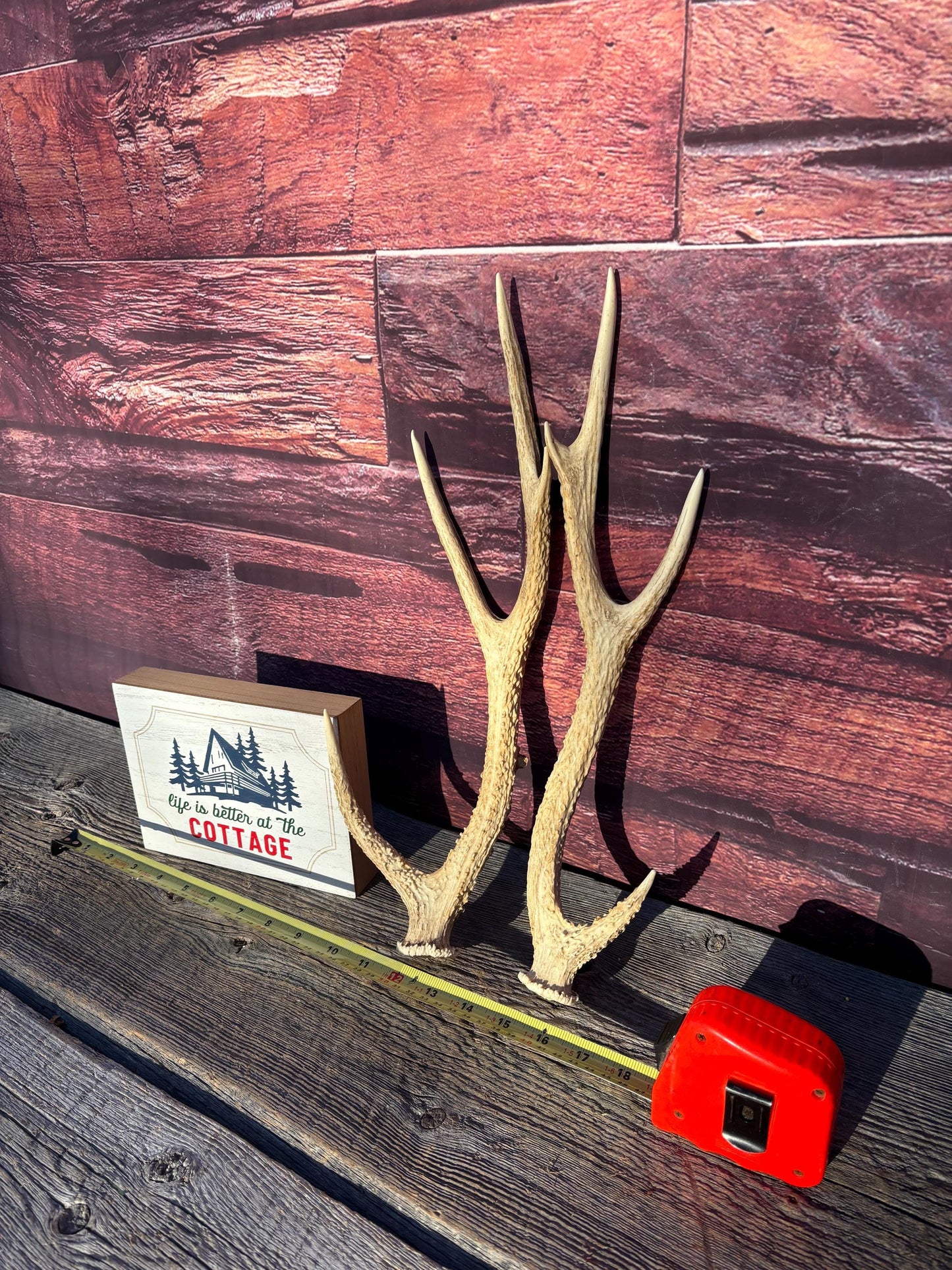 Axis Deer Matched Set. Premium High Density Naturally-Shed Antlers for Crafting Decor and More