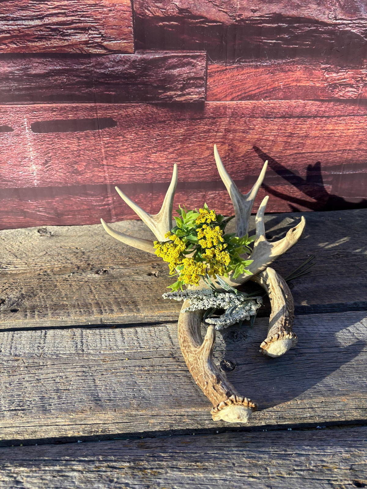 Classic Mule Deer Buck Antlers! For Decor, Crafting and More!