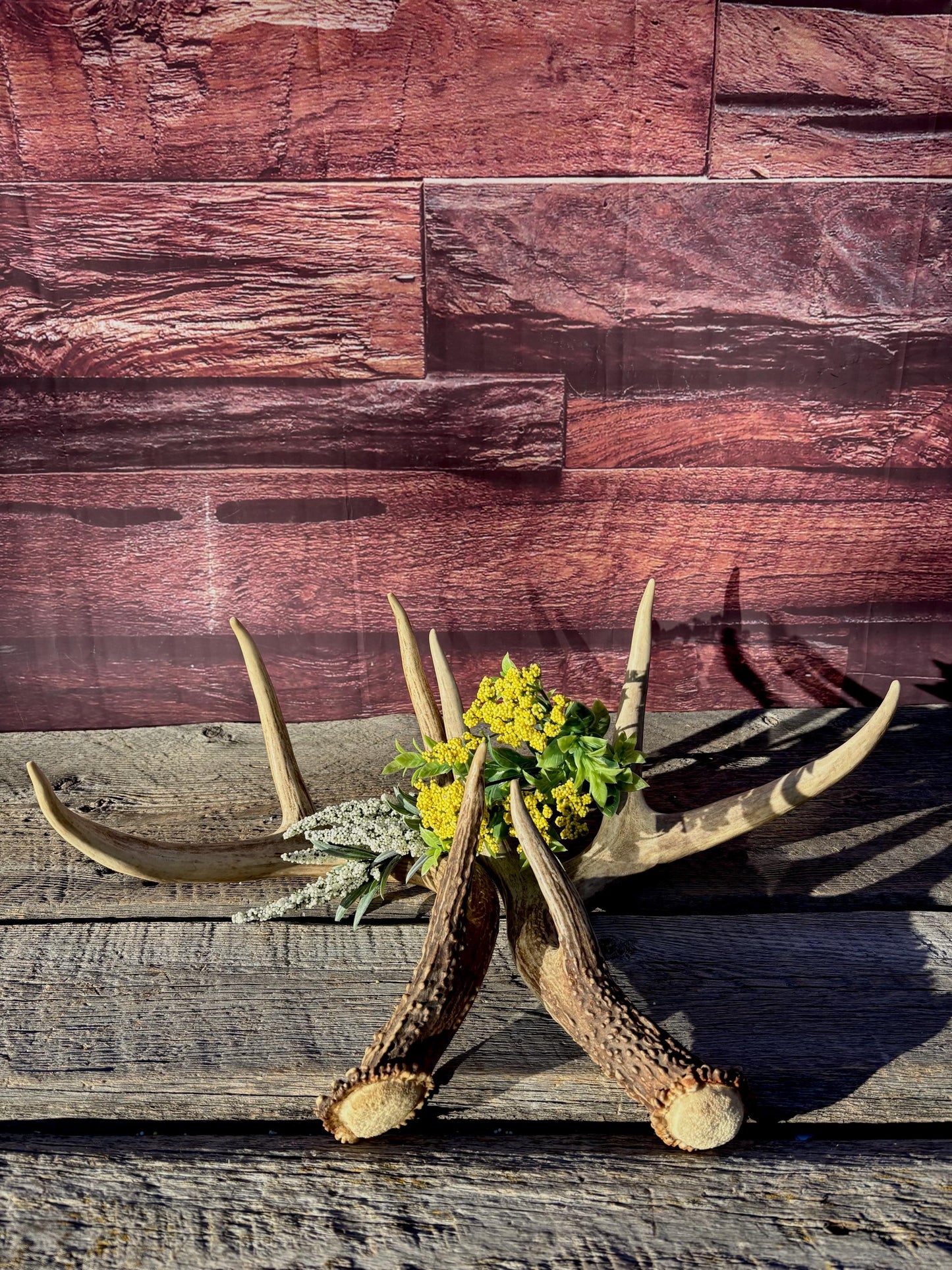 Deer Antlers - White-tailed deer Matching Set. Wild Canadian Whitetail Buck Antlers
