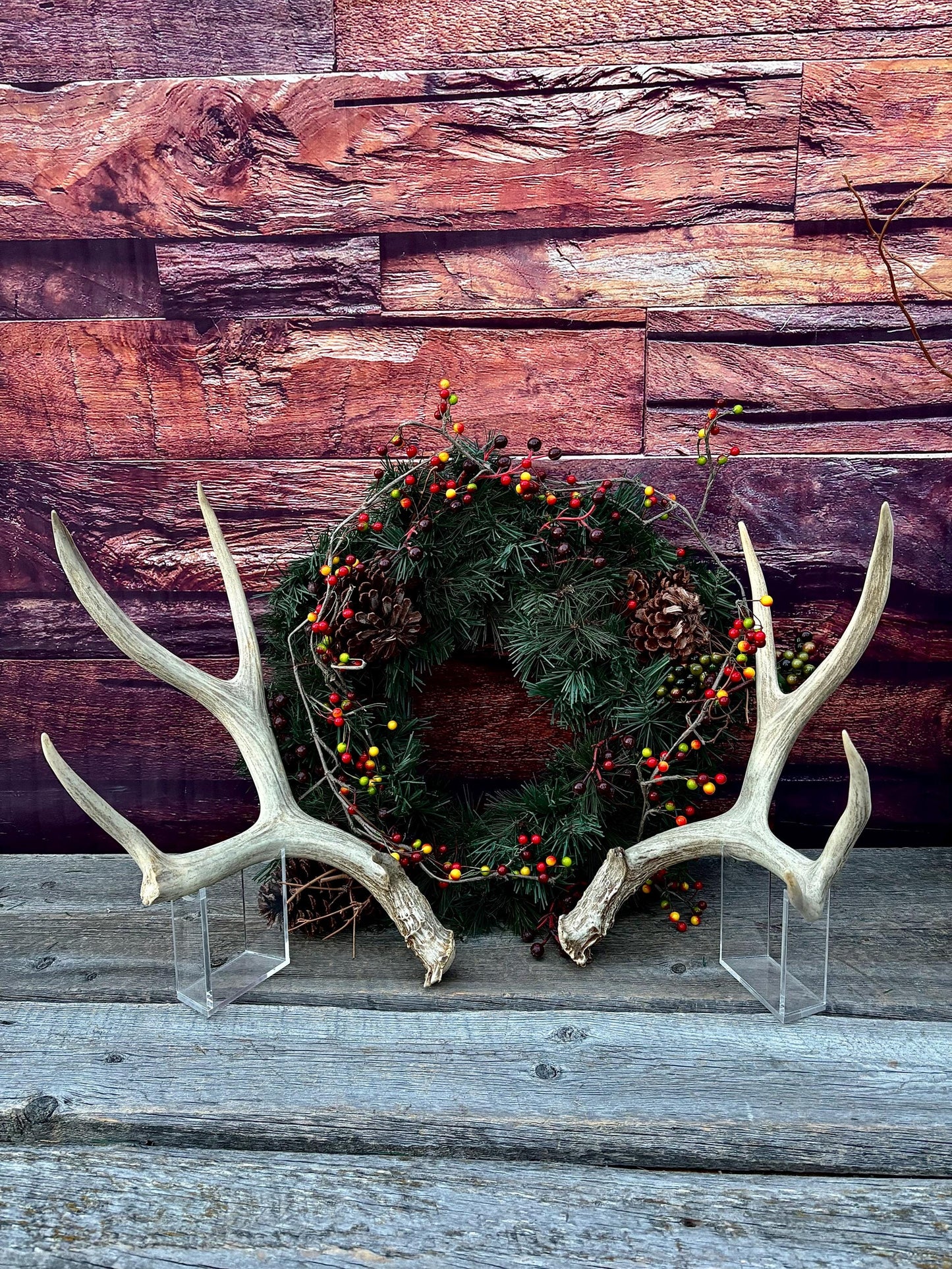 Antlers. Mule Deer Matched Set! Naturally Shed - For Decor, Crafting, Pets and More